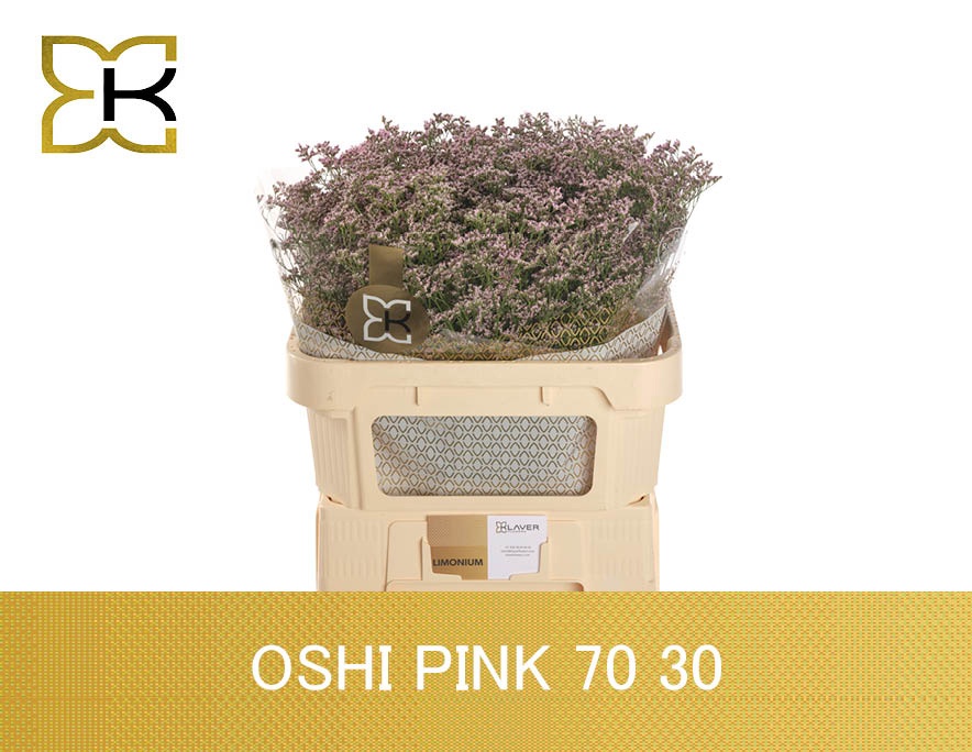 Lim Saf Oshi Pink