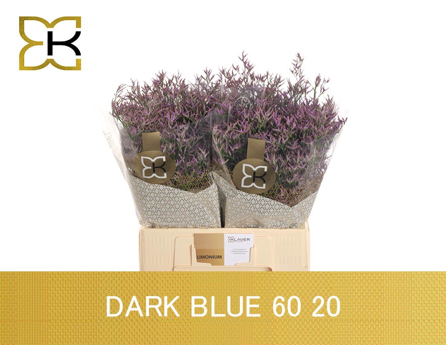 Lim Saf Dark Blue