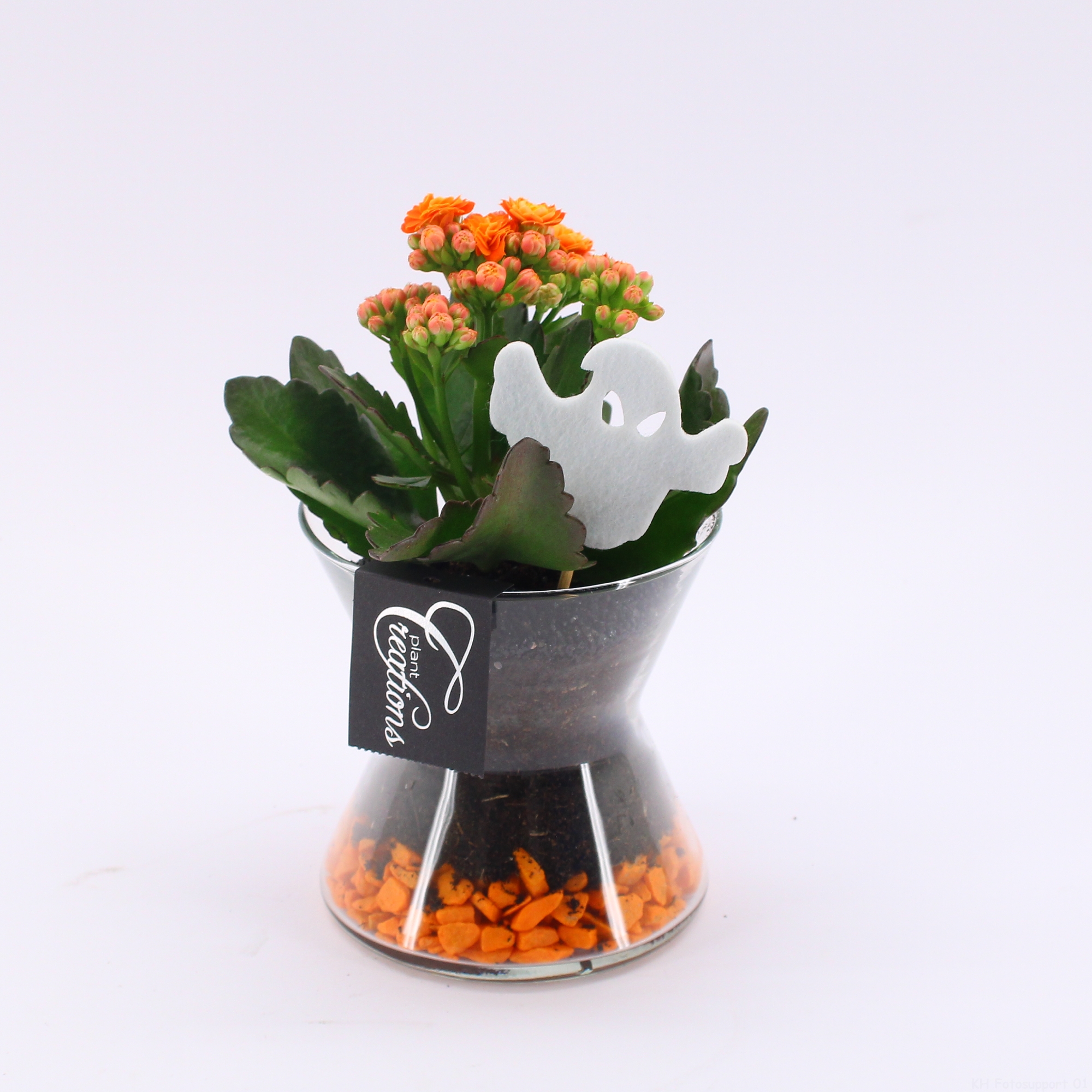 Picture of HWCR-2401 Halloween arrangement P12 20CM