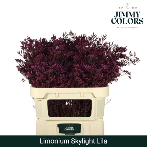 Lim Skylight L80 Lila