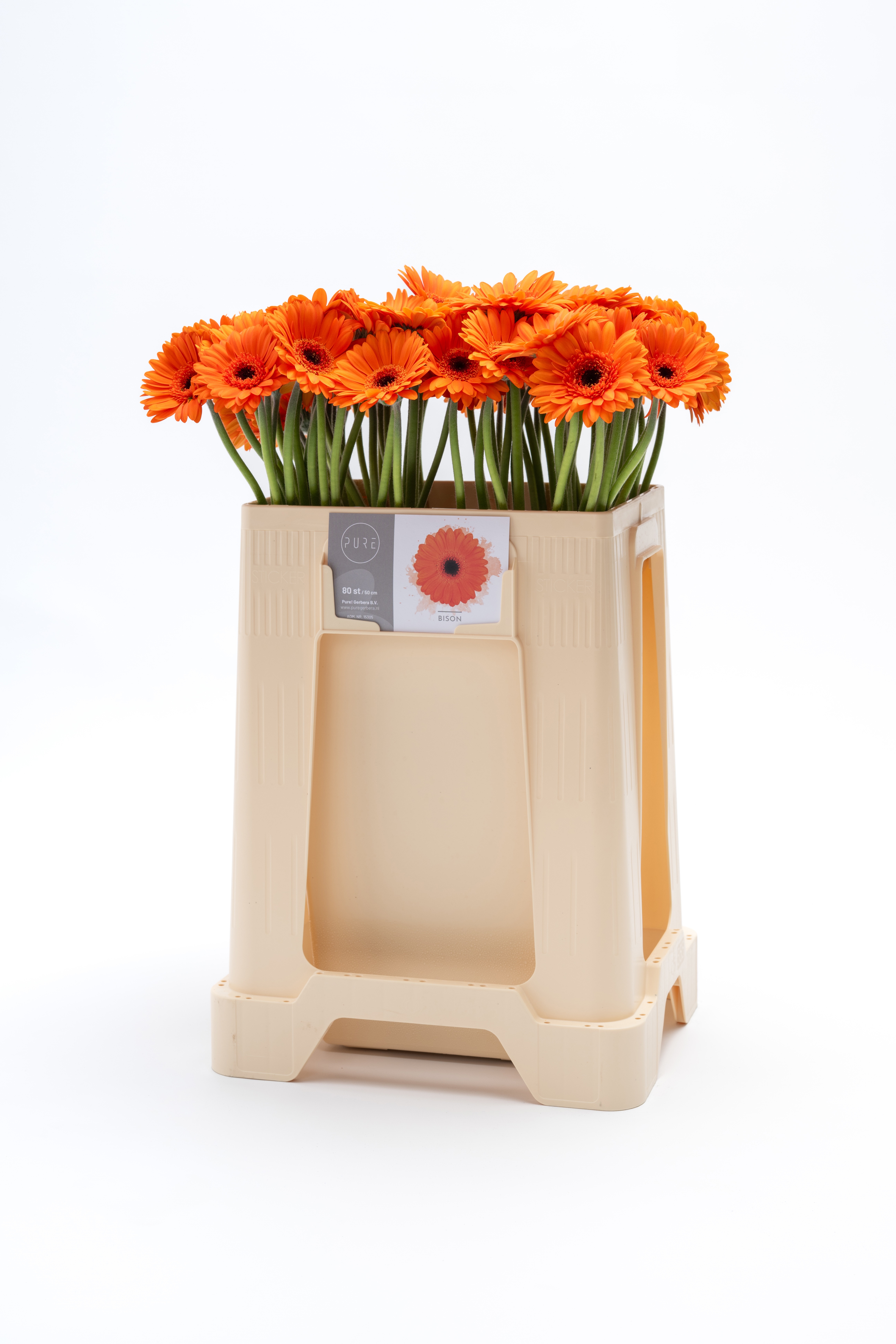 Ge Mi Bison