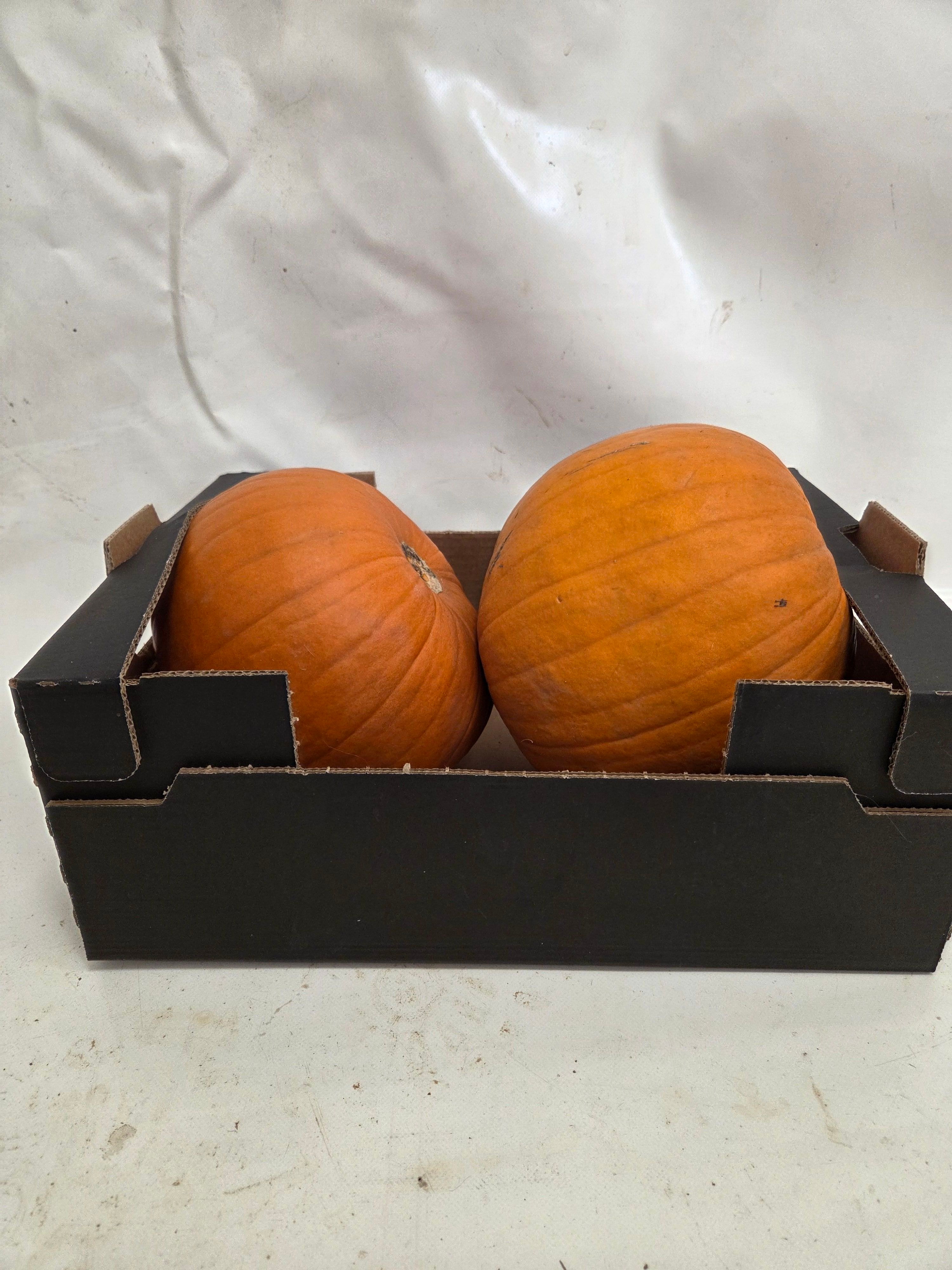Ornamental Fruits Per Piece