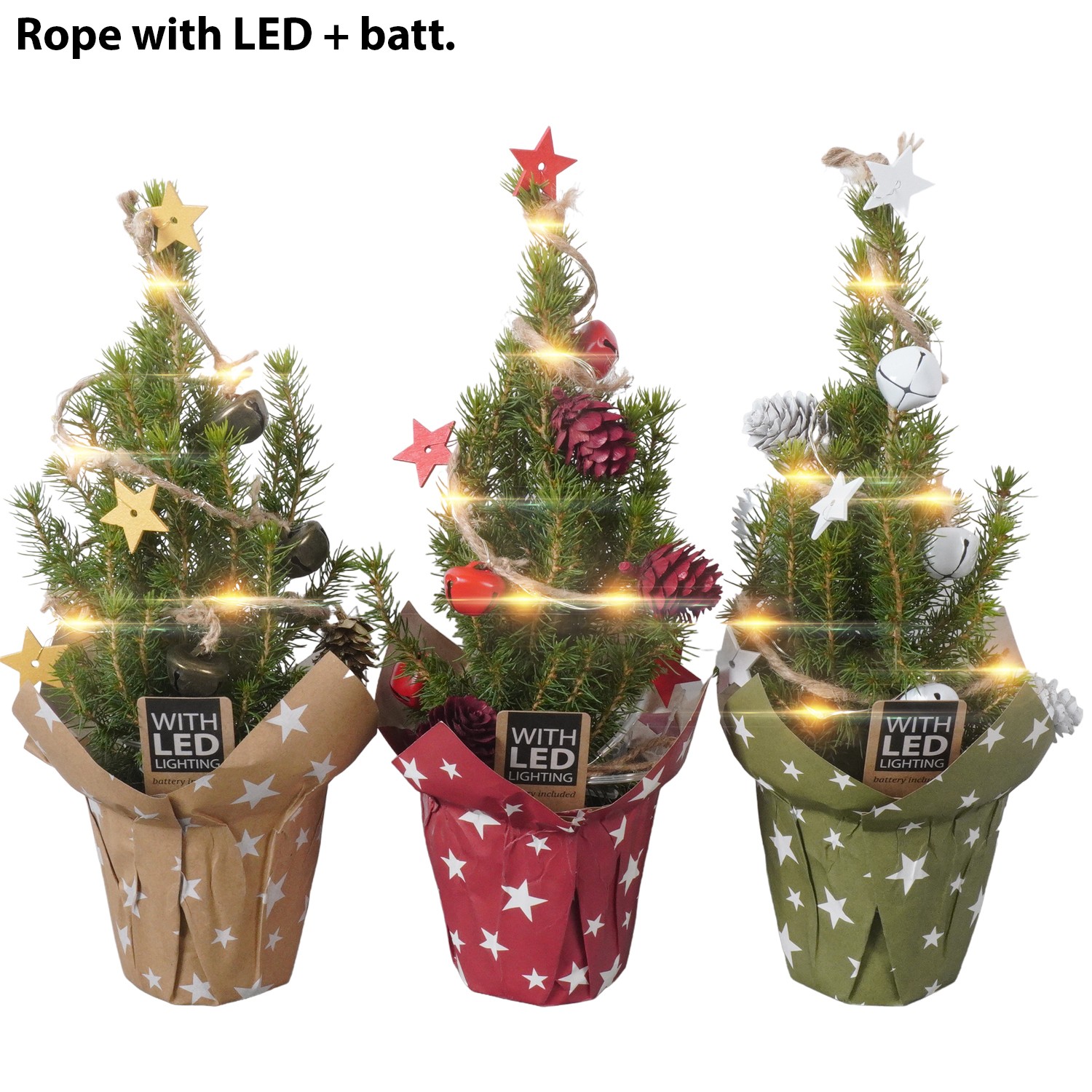 Picture of PTK24317 Picea Conica Perfecta in paper potcover decoration LED P9 30CM