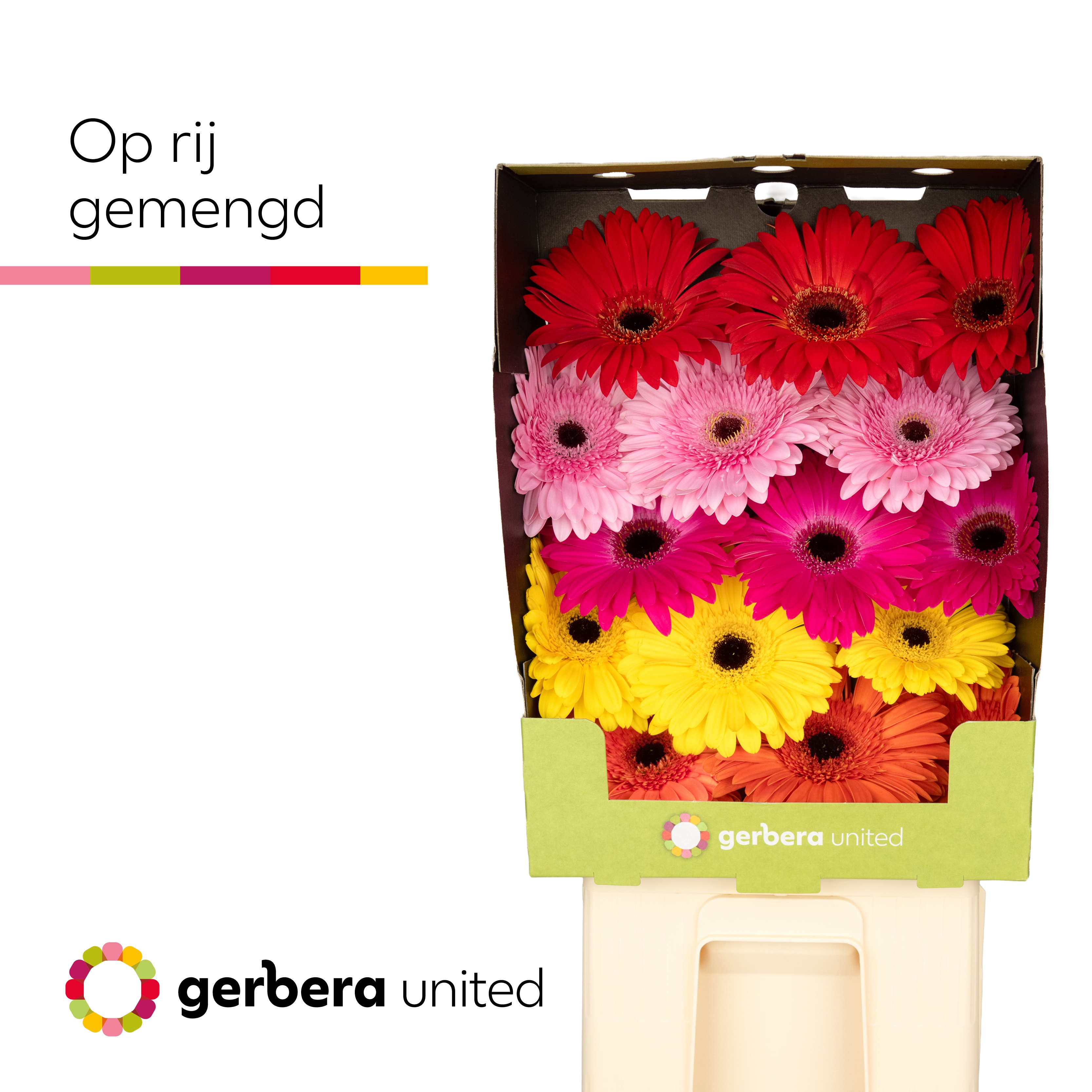 Ge Gr Op Rij Gem