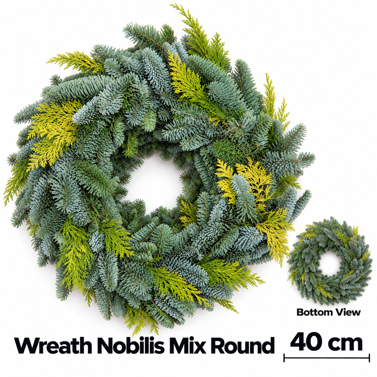 Abies Nobilis Blauw 40L.cm