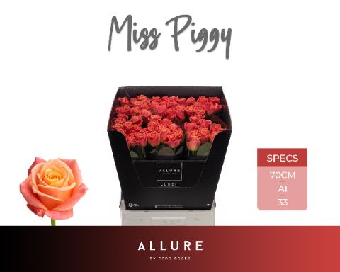 R Gr Miss Piggy+