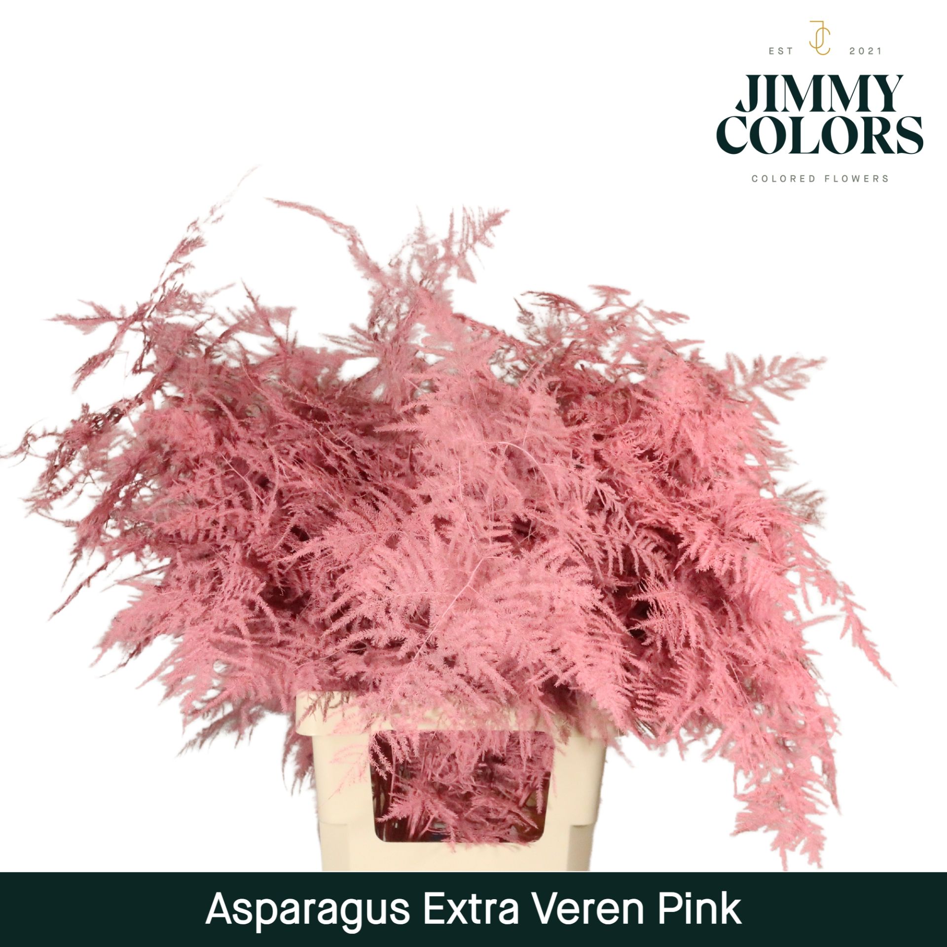 Aspa Extra Veren Pink