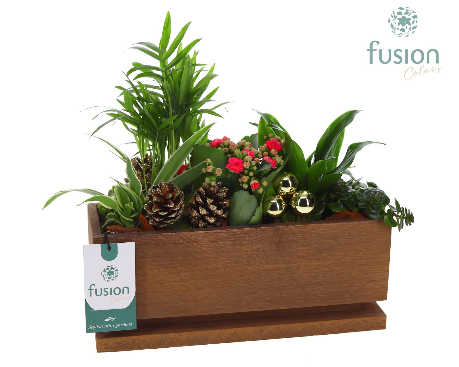 Picture of X-Mas arrangement The Lighting Garden® LED Medium FC-23.0022FDH P29 25CM