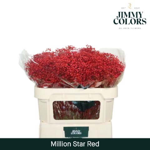 Gyps Million Star L70 Red
