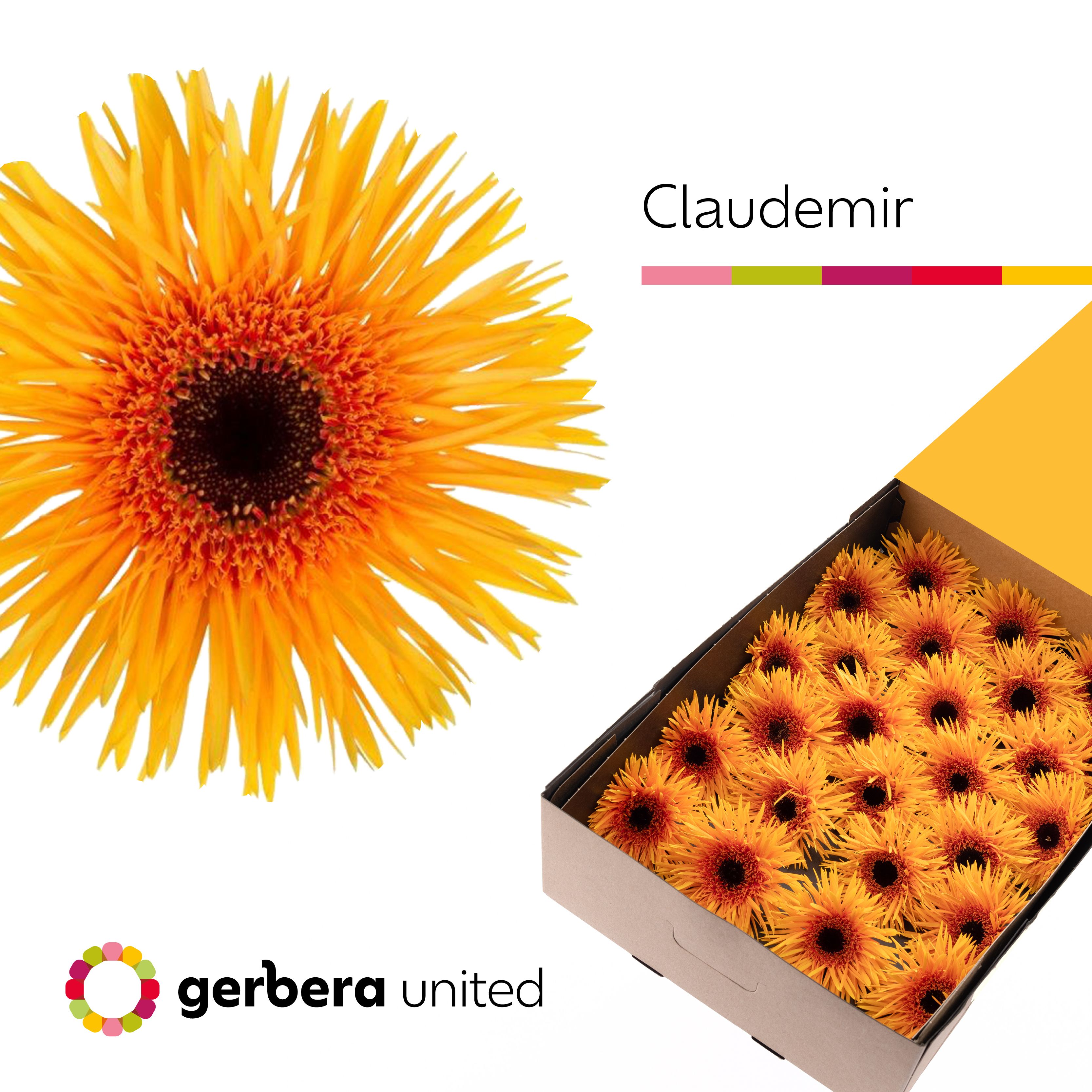 Ge Gs Claudemir