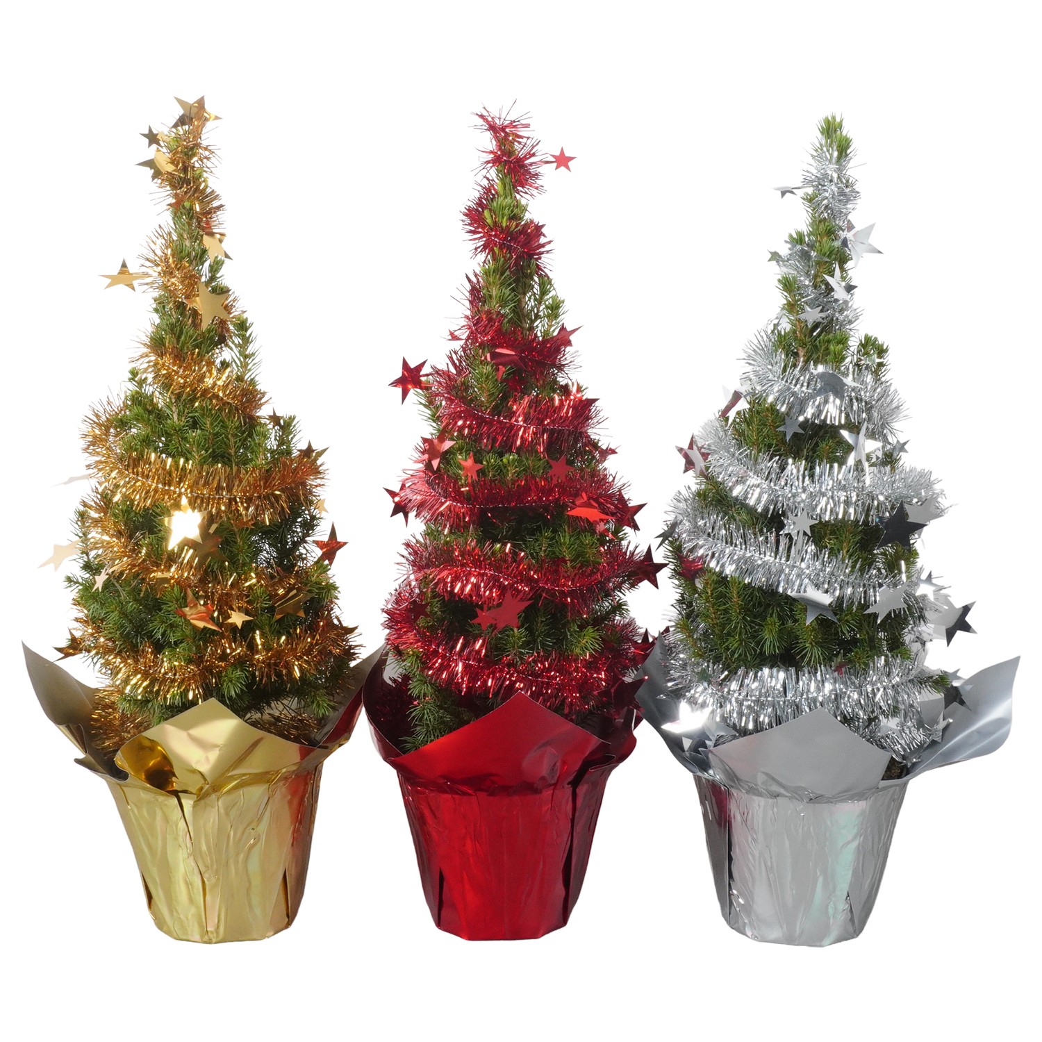 Picture of PTK24441 Picea Conica Perfecta in shining potcover mix decoration P13 45cm