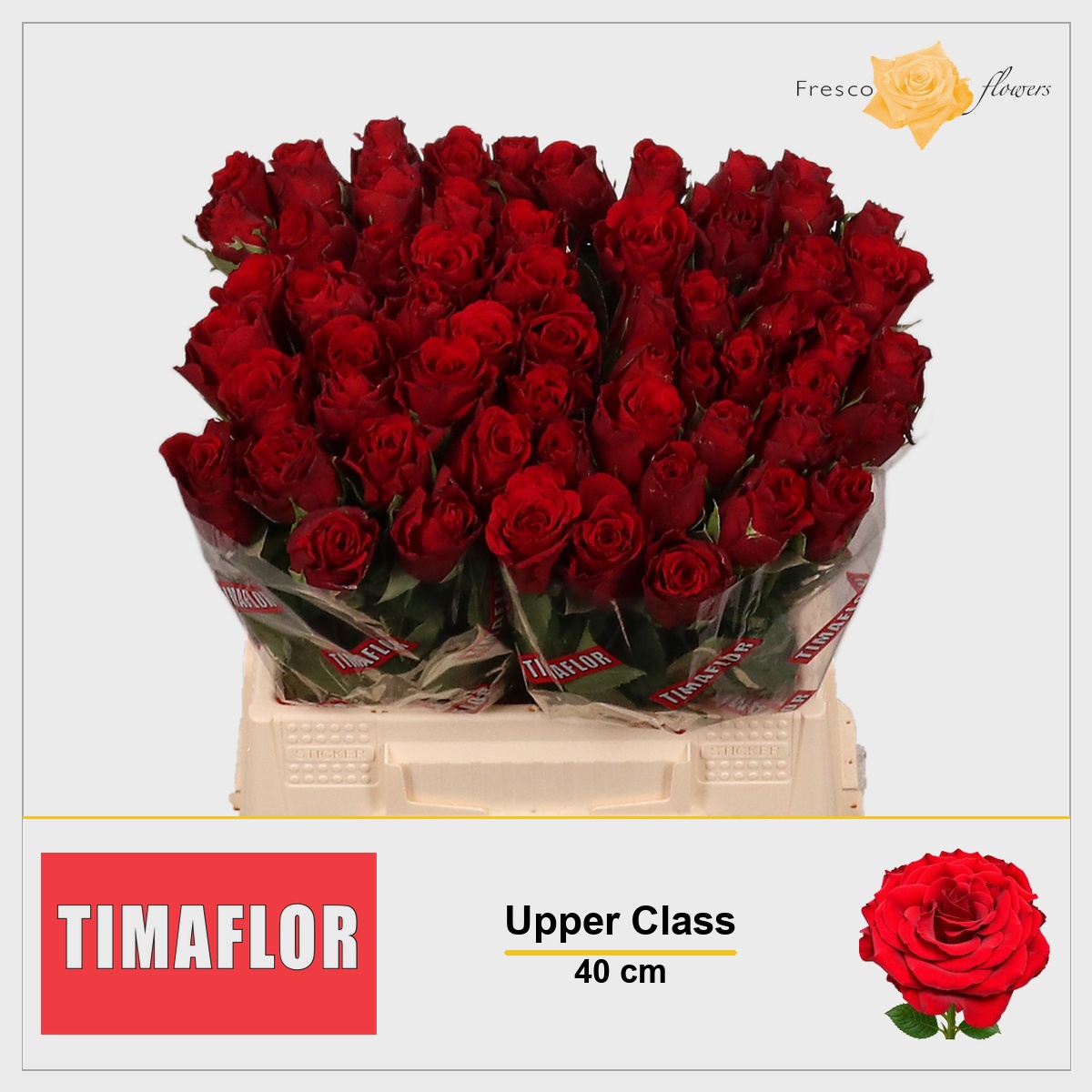 Rosa Upper Class 40cm