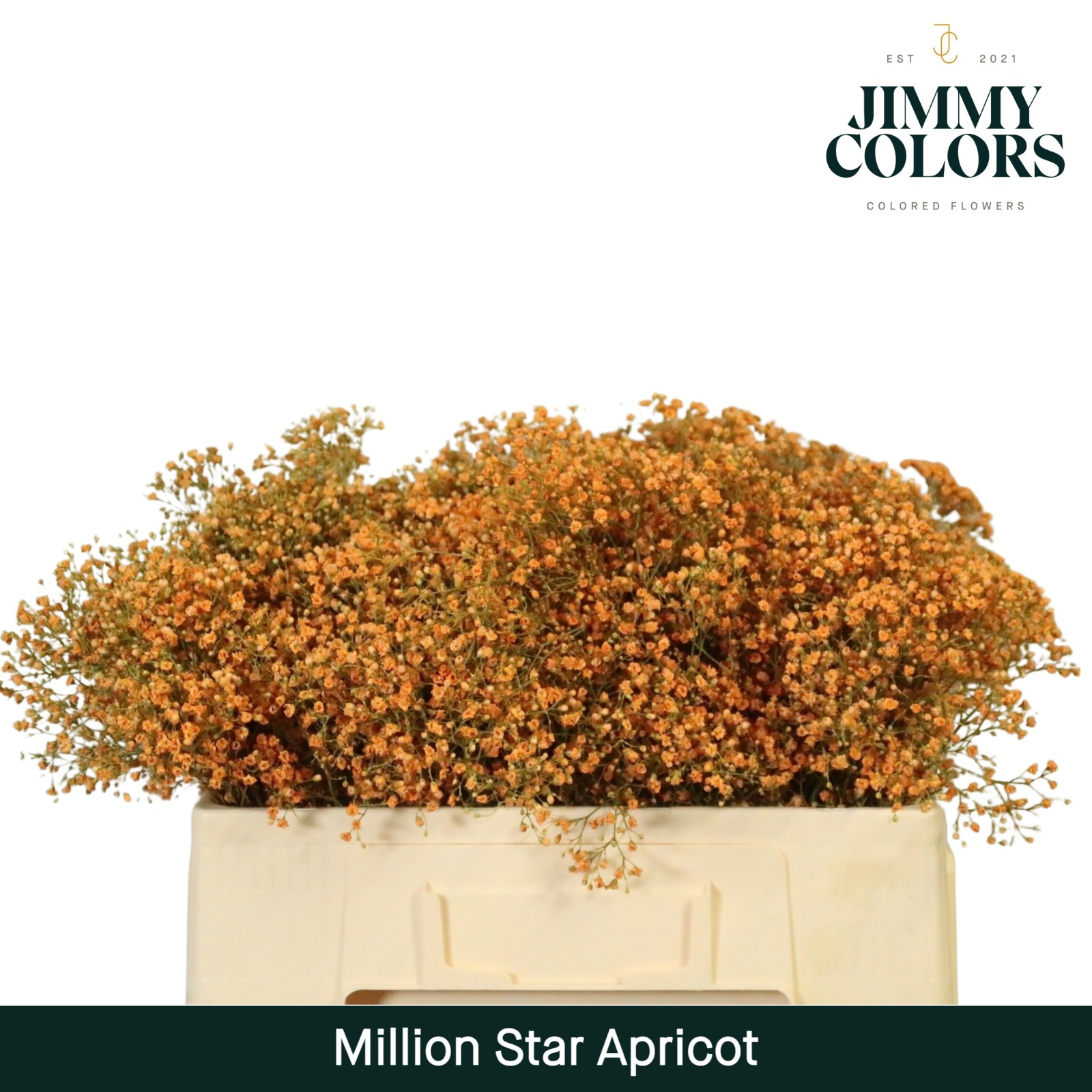 Gyps Million Star L50 Apricot