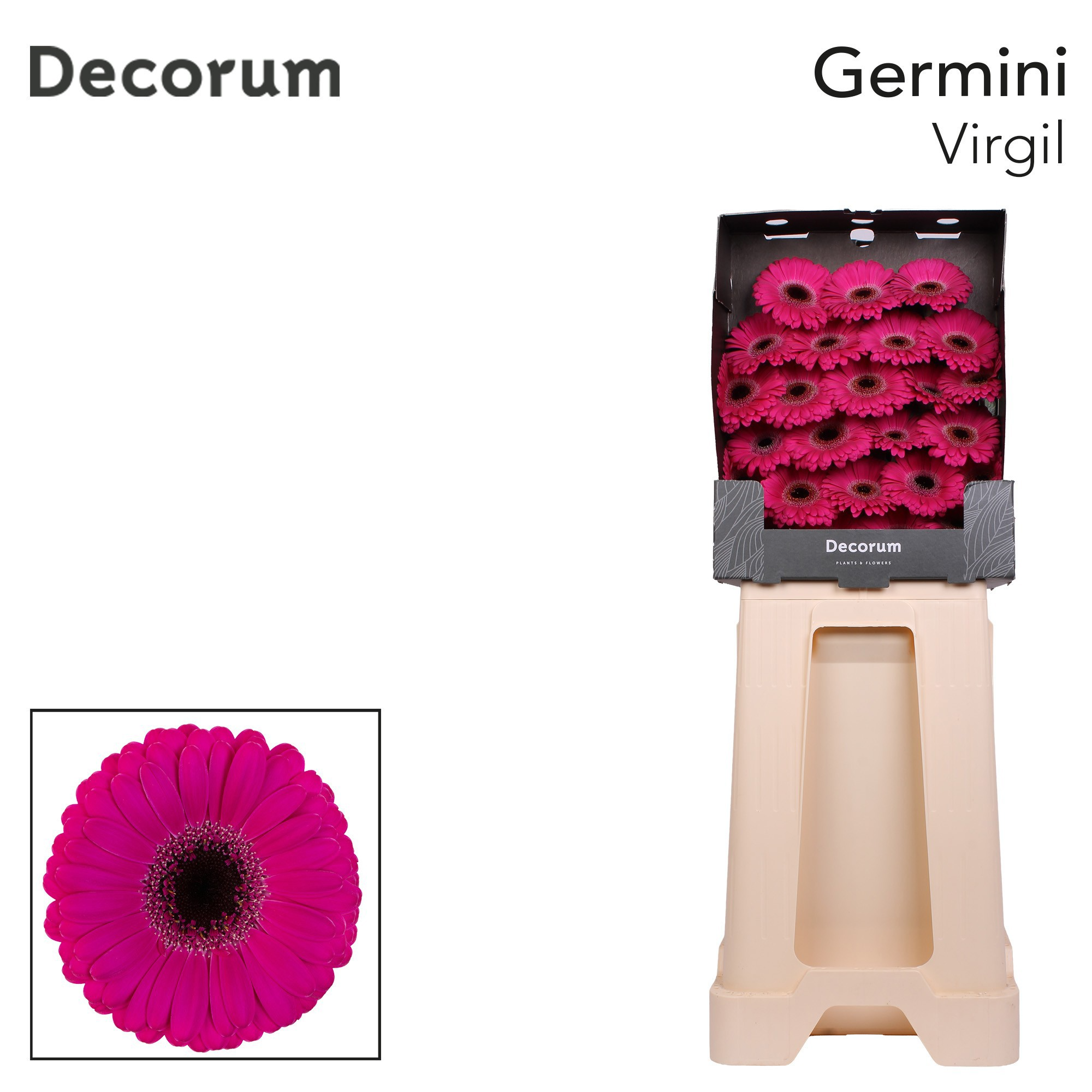 Ge Mi Virgil+