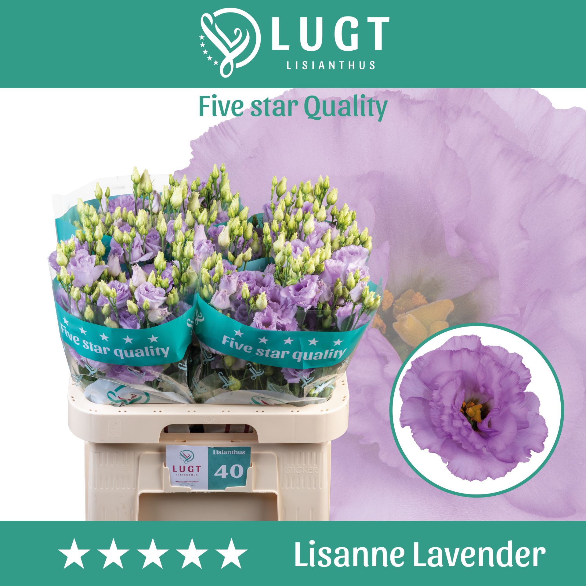 Eus G Lisanne Lavend