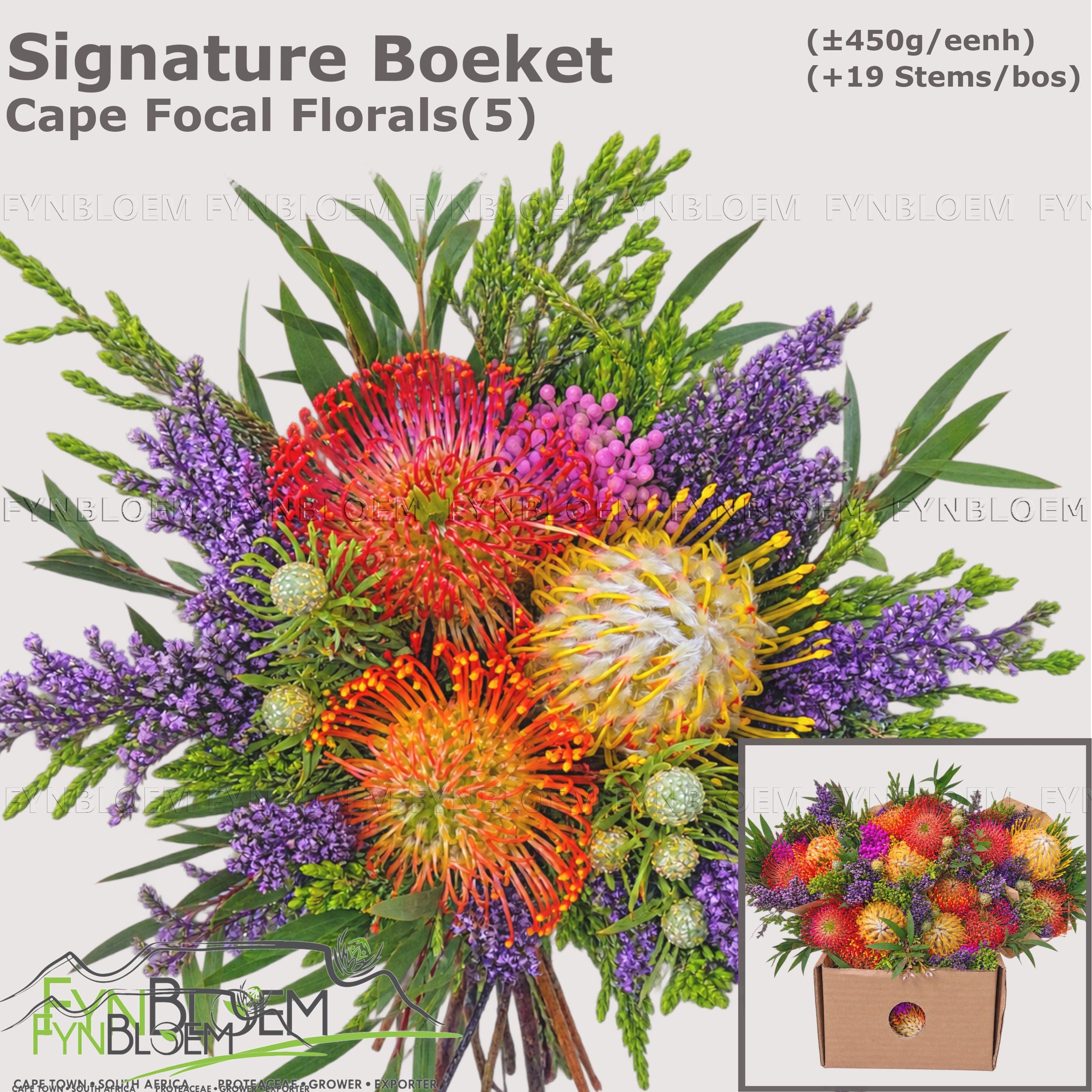 Protea Per Bos