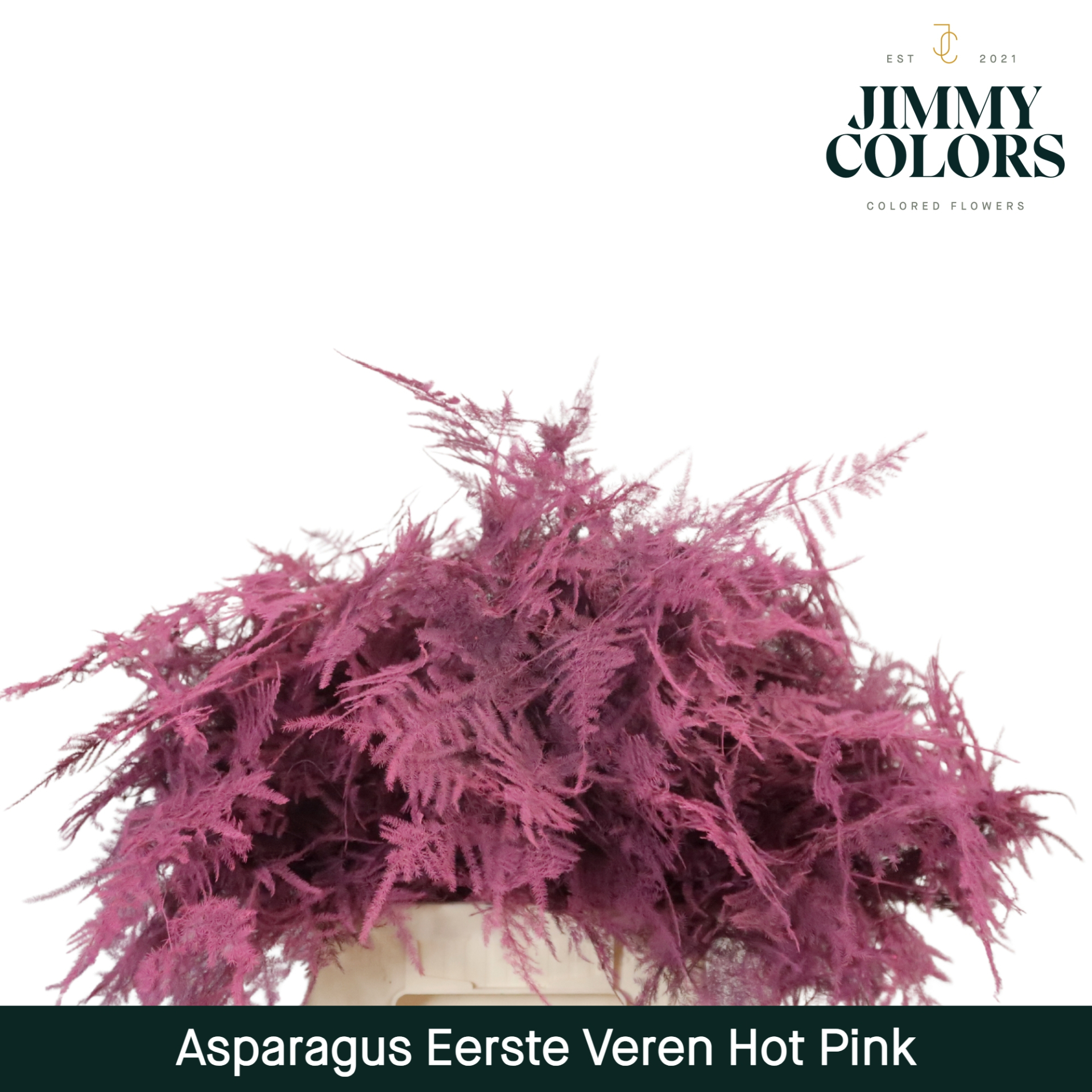 Aspa 1ste Veren Hot Pink