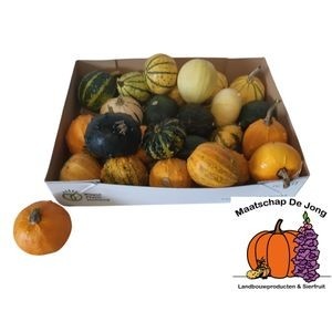 Cucurbita Pepo Mixed