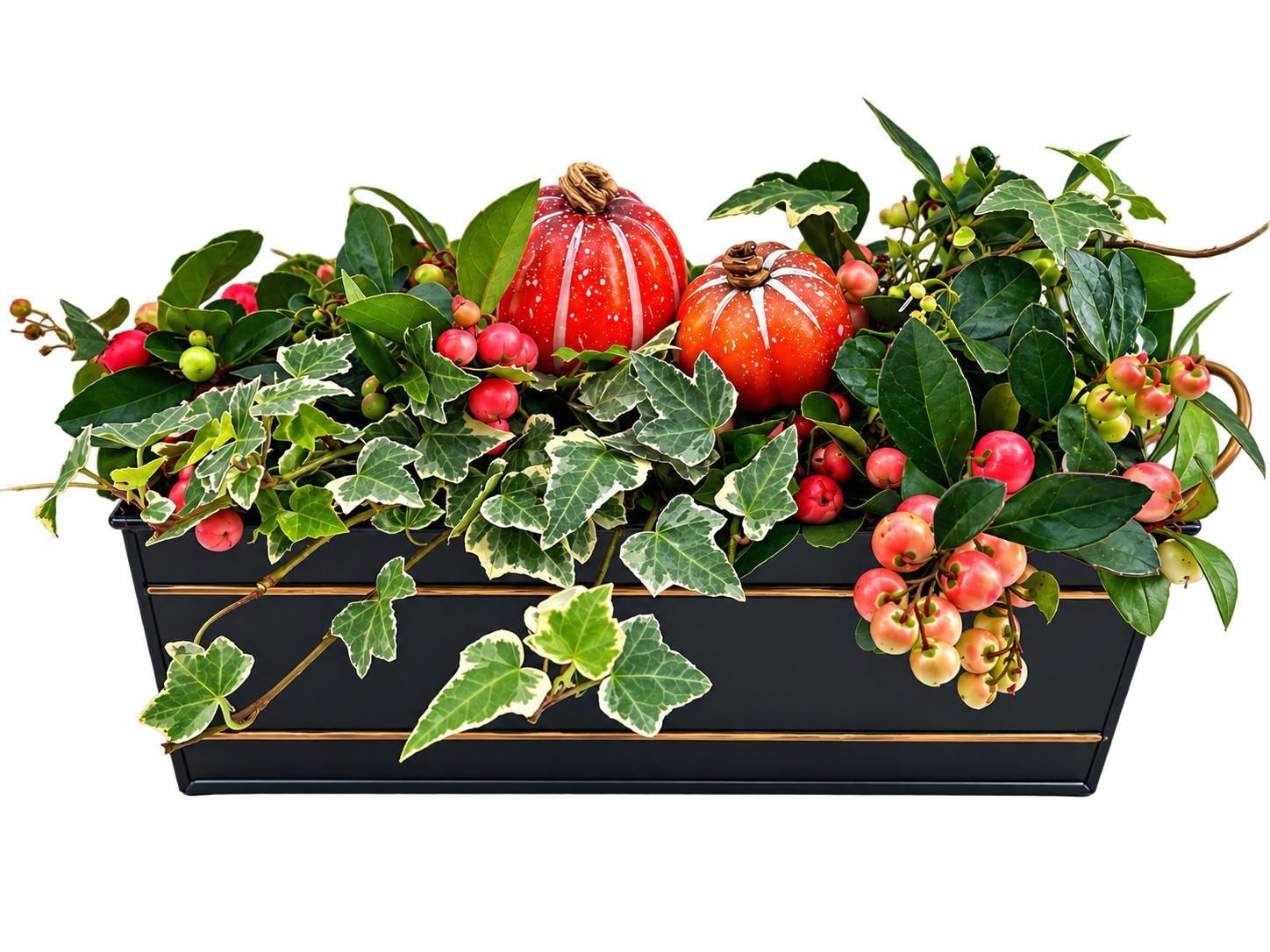 Gaultheria GLH838P-9003 Gaultheria met Hedera Sterre zink M-Pompoen