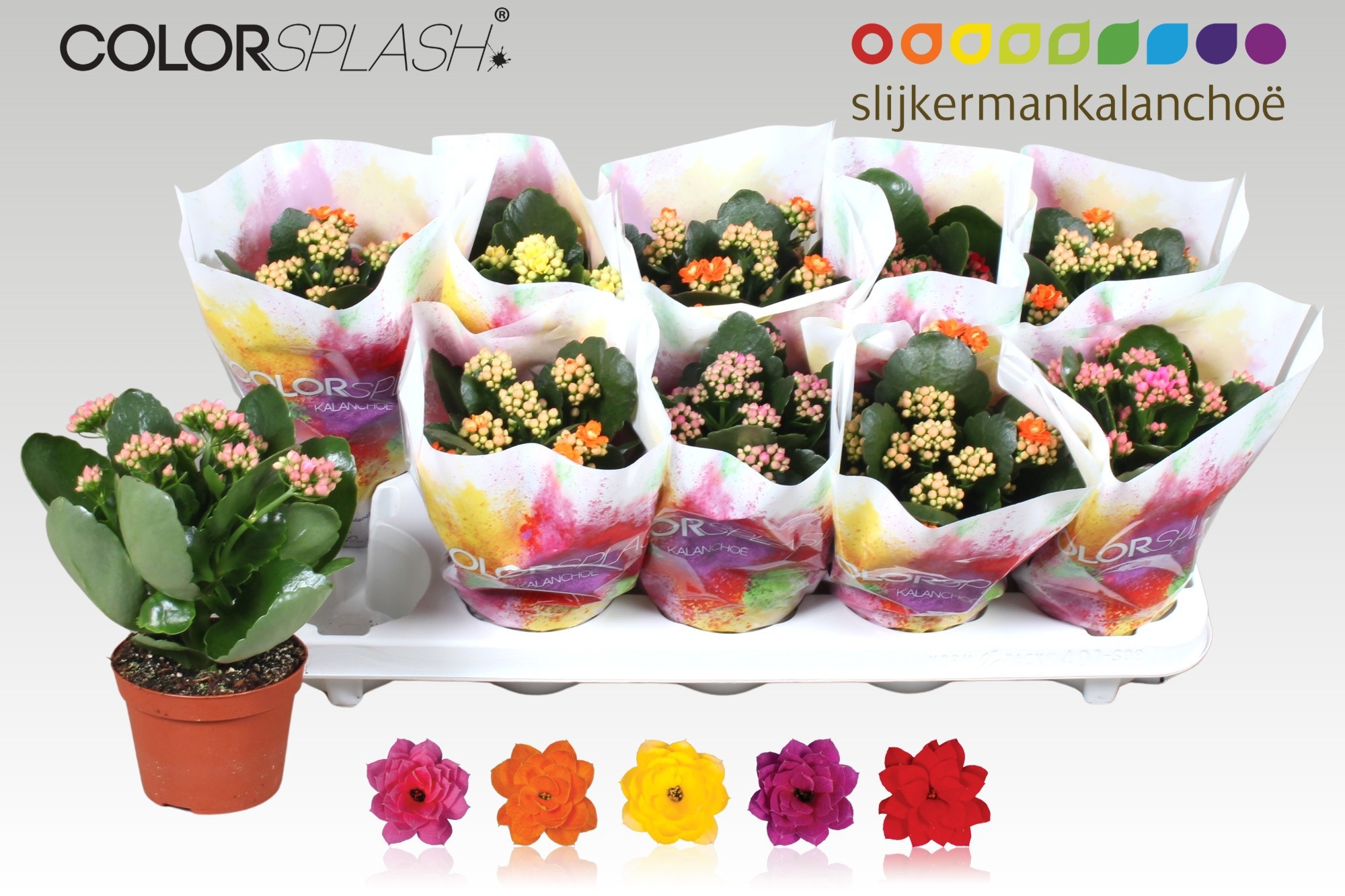 Kalan B Ge Gem 5 Kl 510Ø 20cm