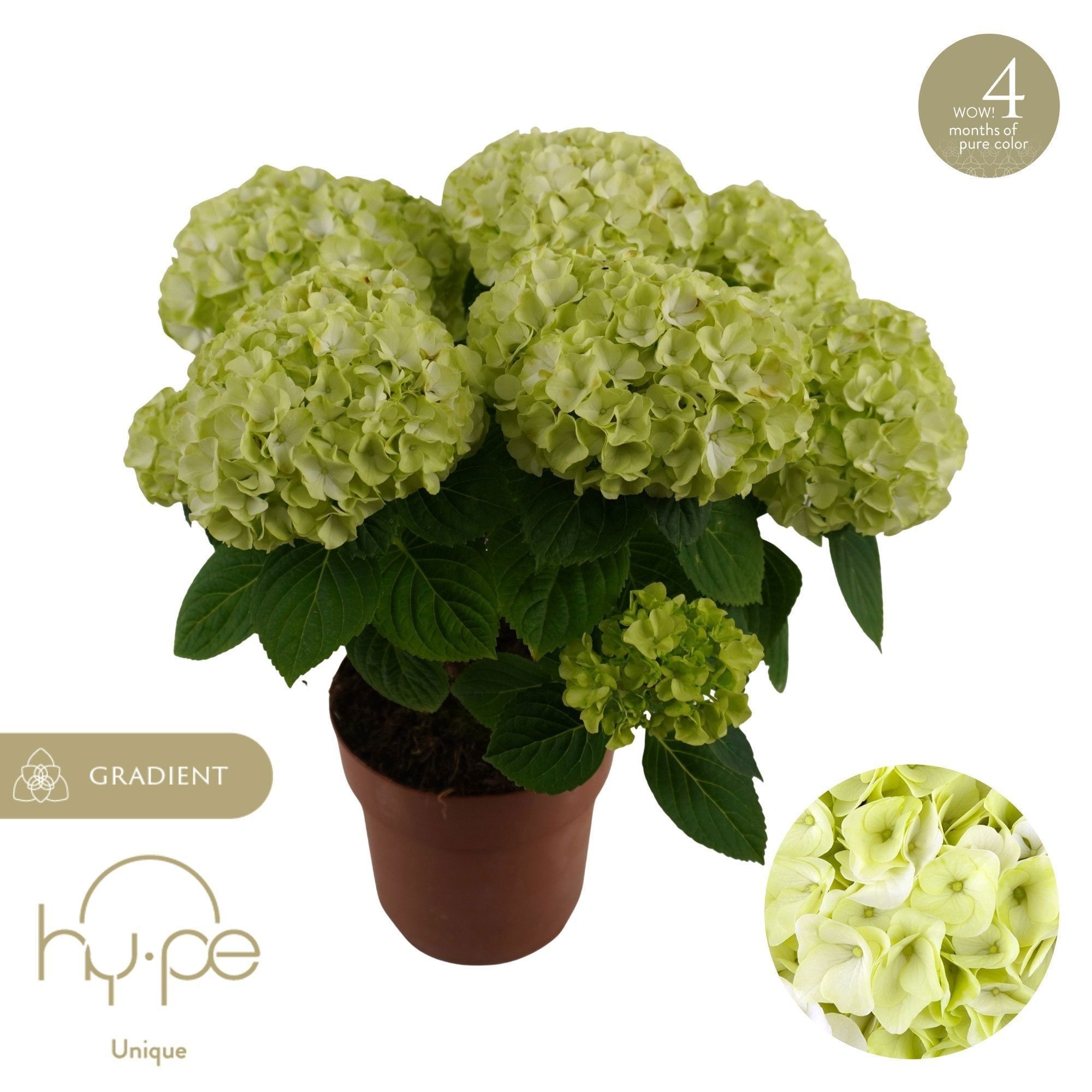 Hydr M Hi Hailstone 14Ø 40cm