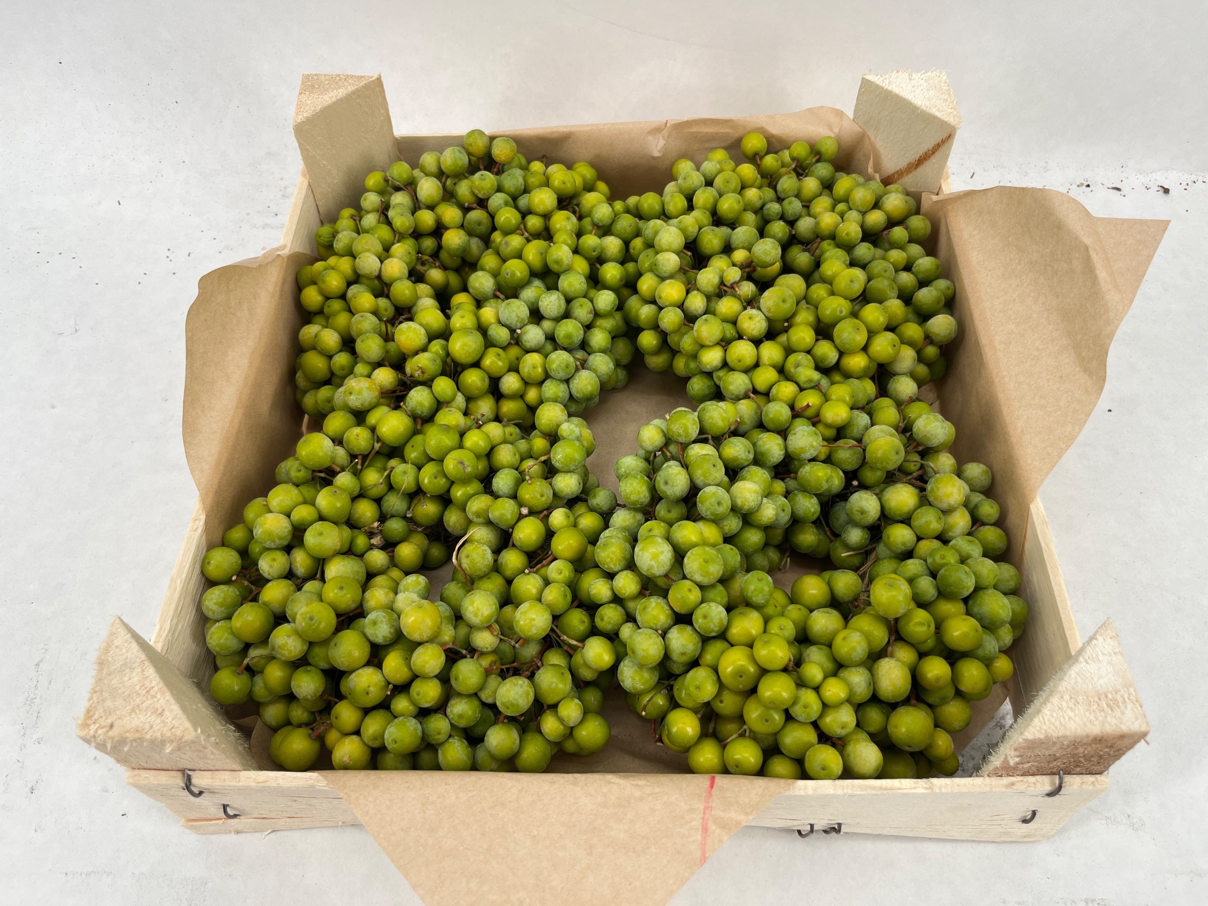 Fruits Malus Per Piece
