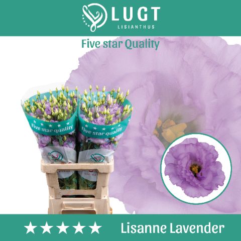 Eus G Lisanne Lavend