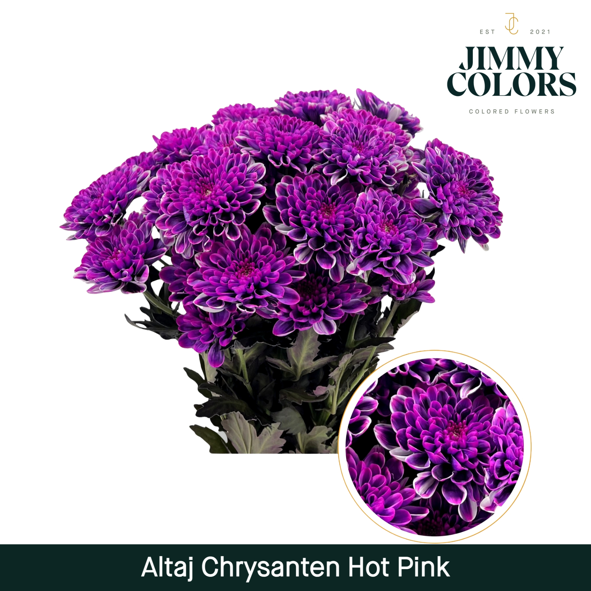 Chr T Altaj Hot Pink