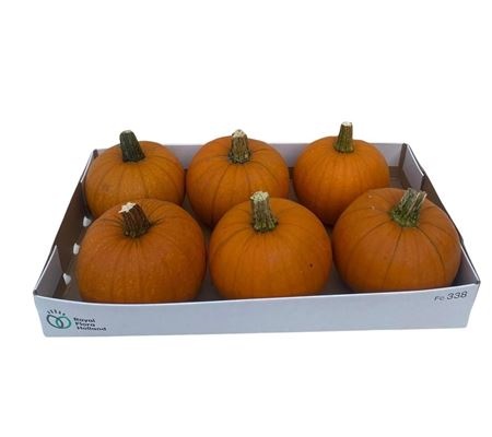 Ornamental Fruits Per Piece