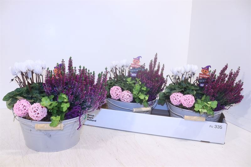 Arr Tuinplanten 22P 27cm