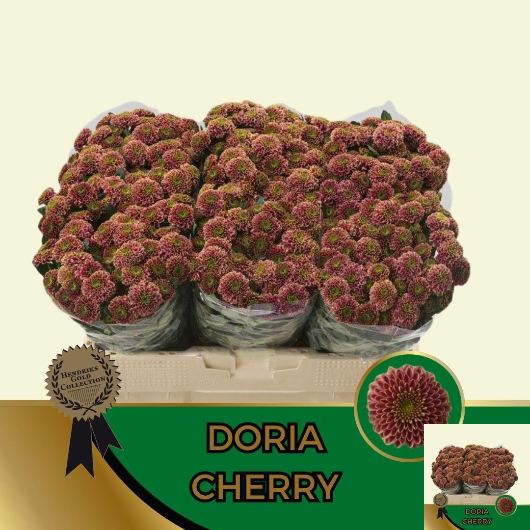 Chrys Santini Doria Cherry 55cm 120Ø