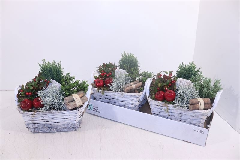 Arrangement Garden Plants 26Ø