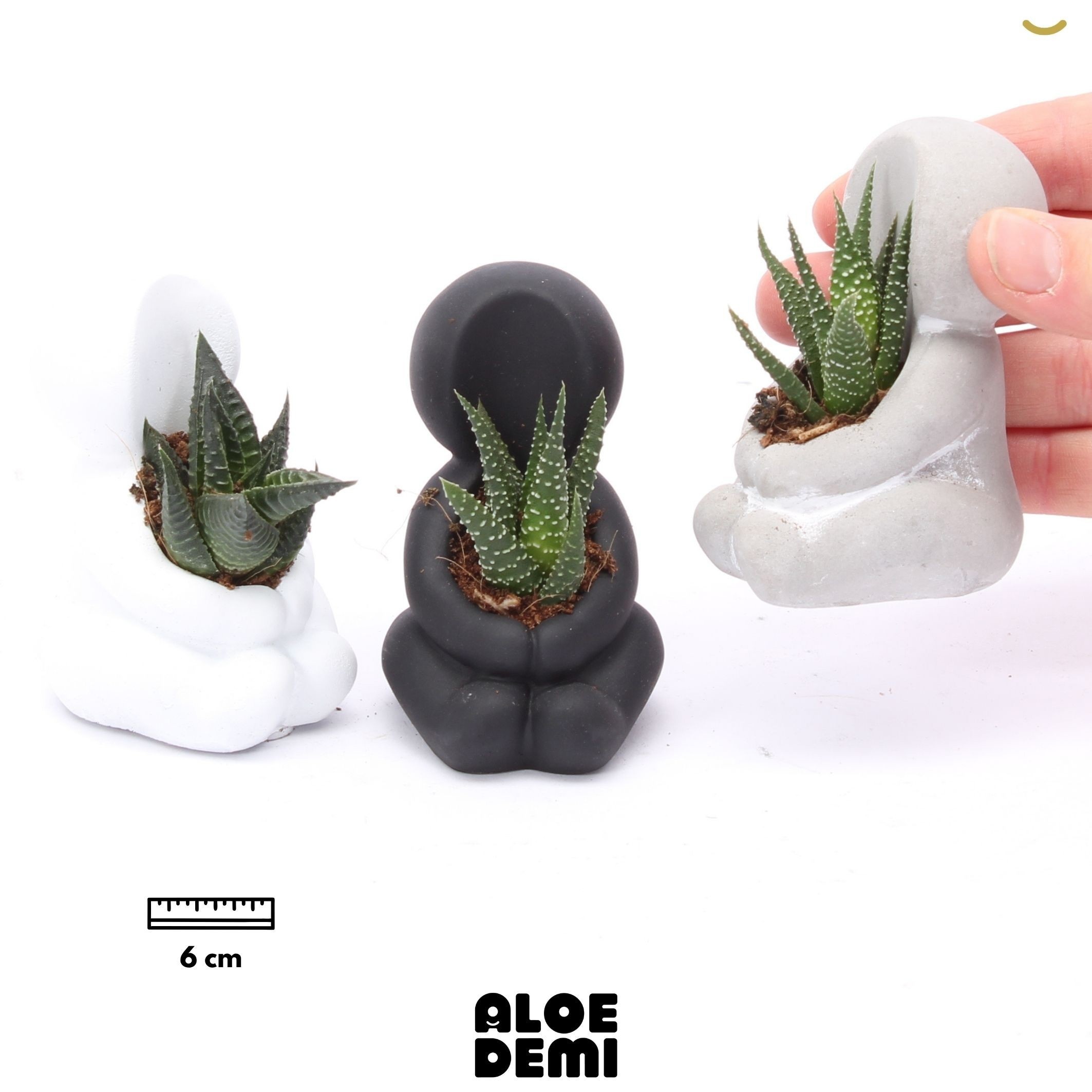 Vetplanten Arr 6% 5Ø 9cm
