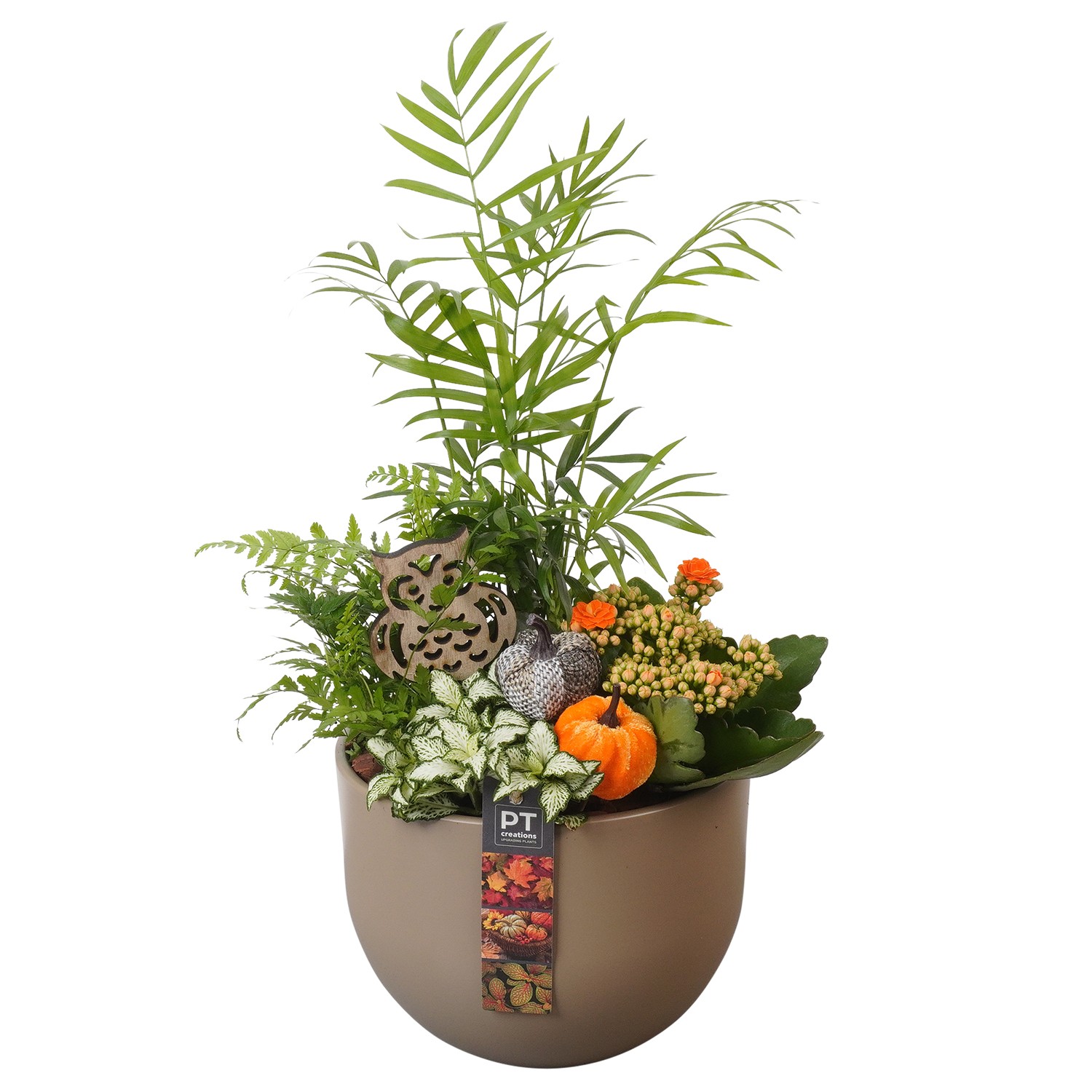 Picture of Arrangement Autumn Indoor in ceramic little bowl PTHI7168 P19 46cm