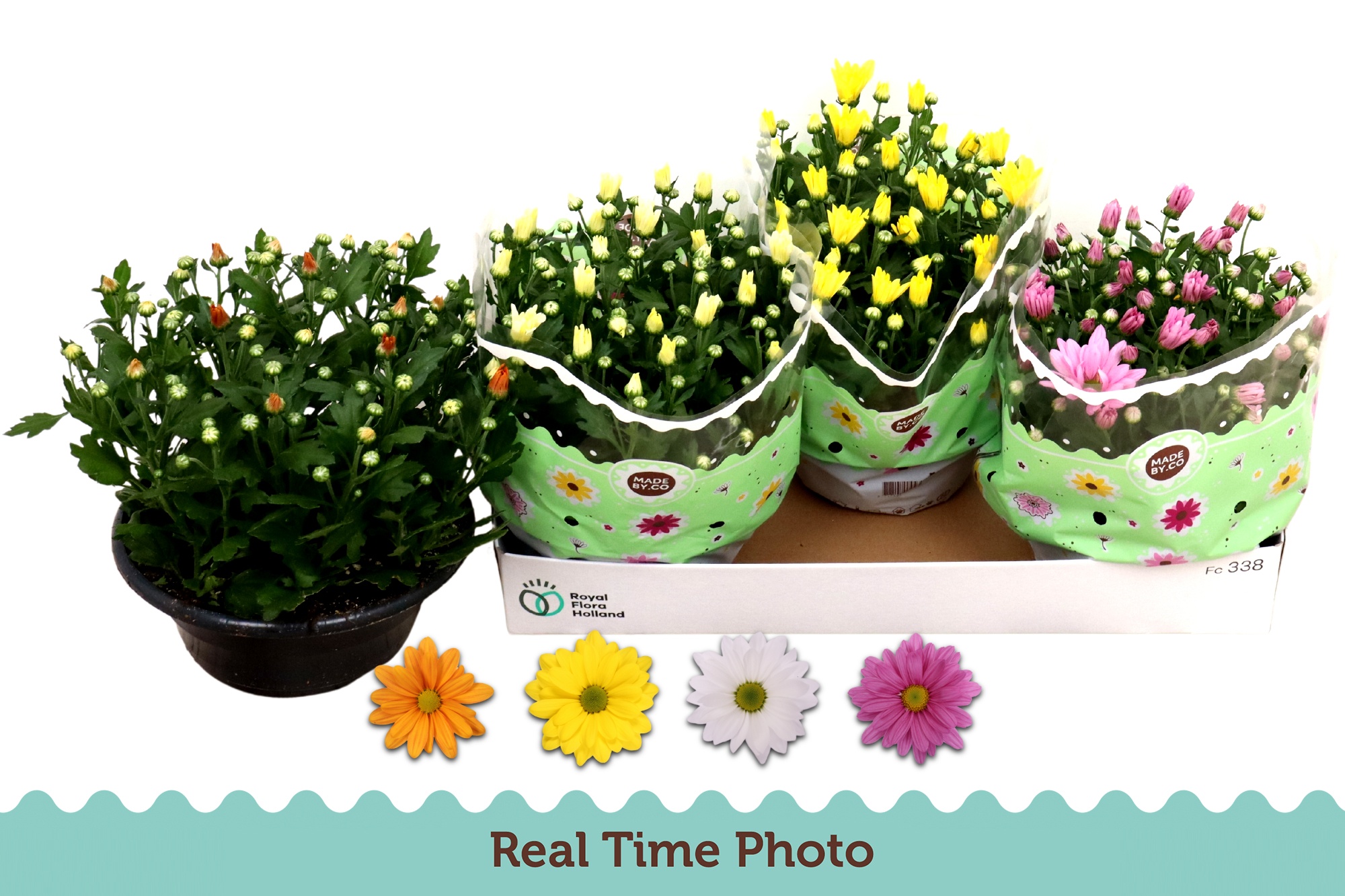Chr Gemengd 4 Kleur 23Ø 27cm