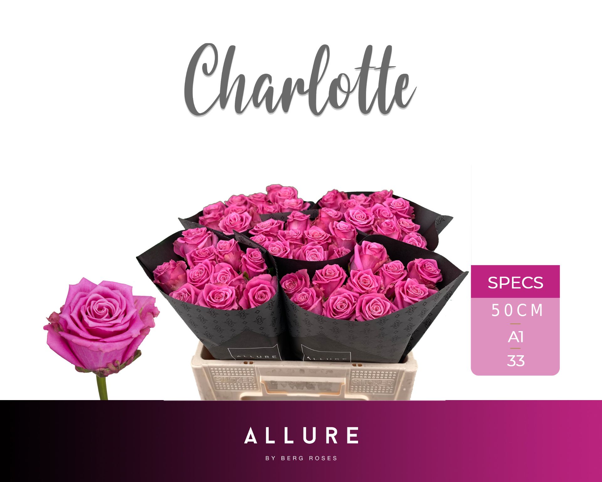 Rosa Tan Charlotte 50cm