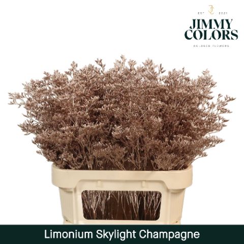 Lim Skylight L70 Champagne