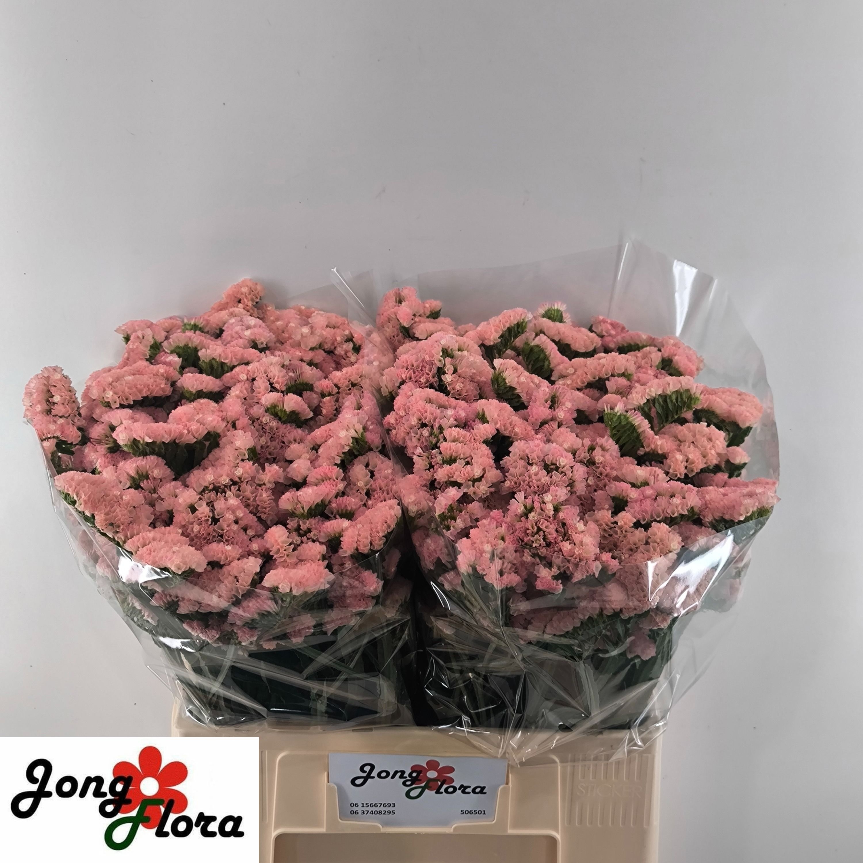 Lim S Peach Wings 60cm 22gram