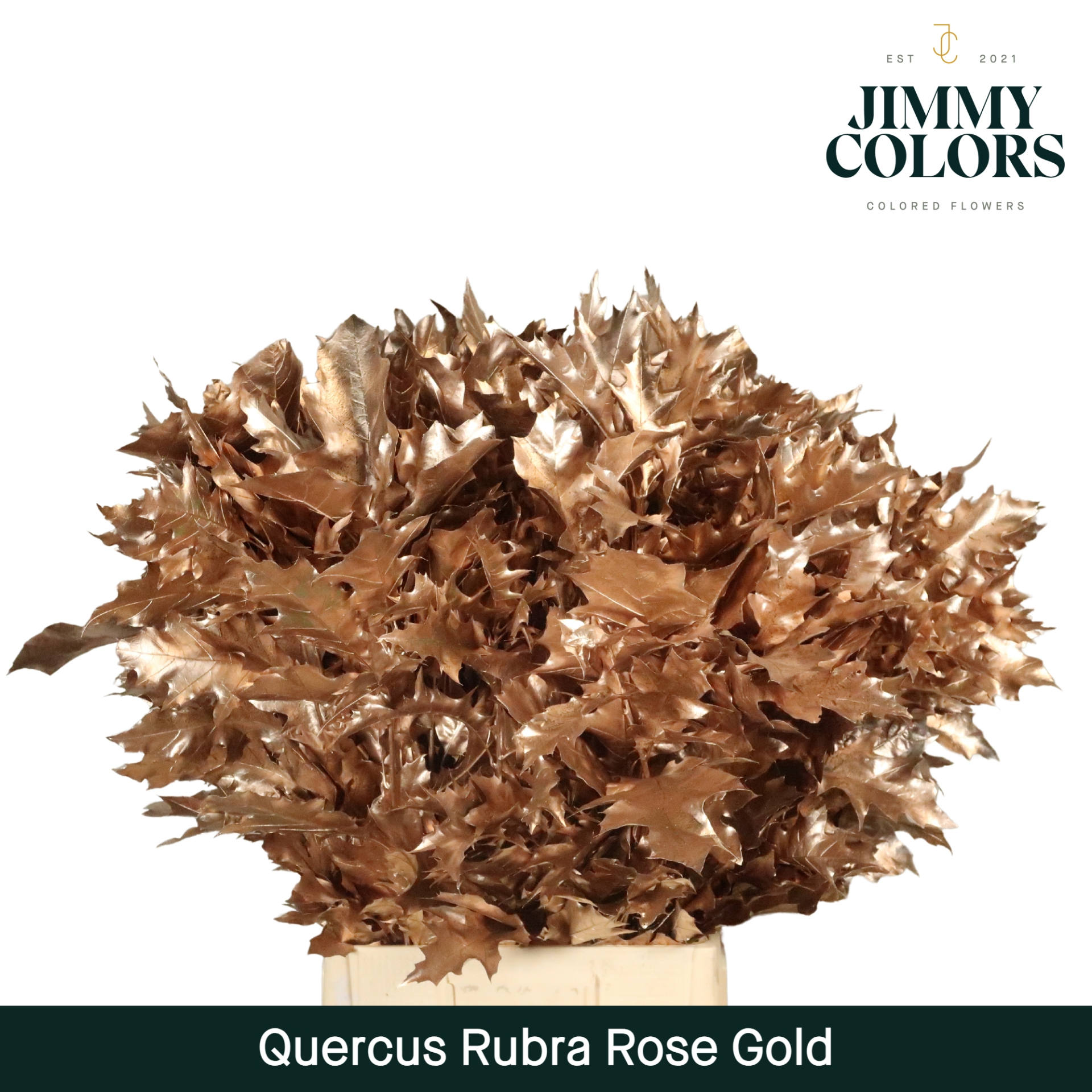 Quercus Rubra L80 Rose Gold