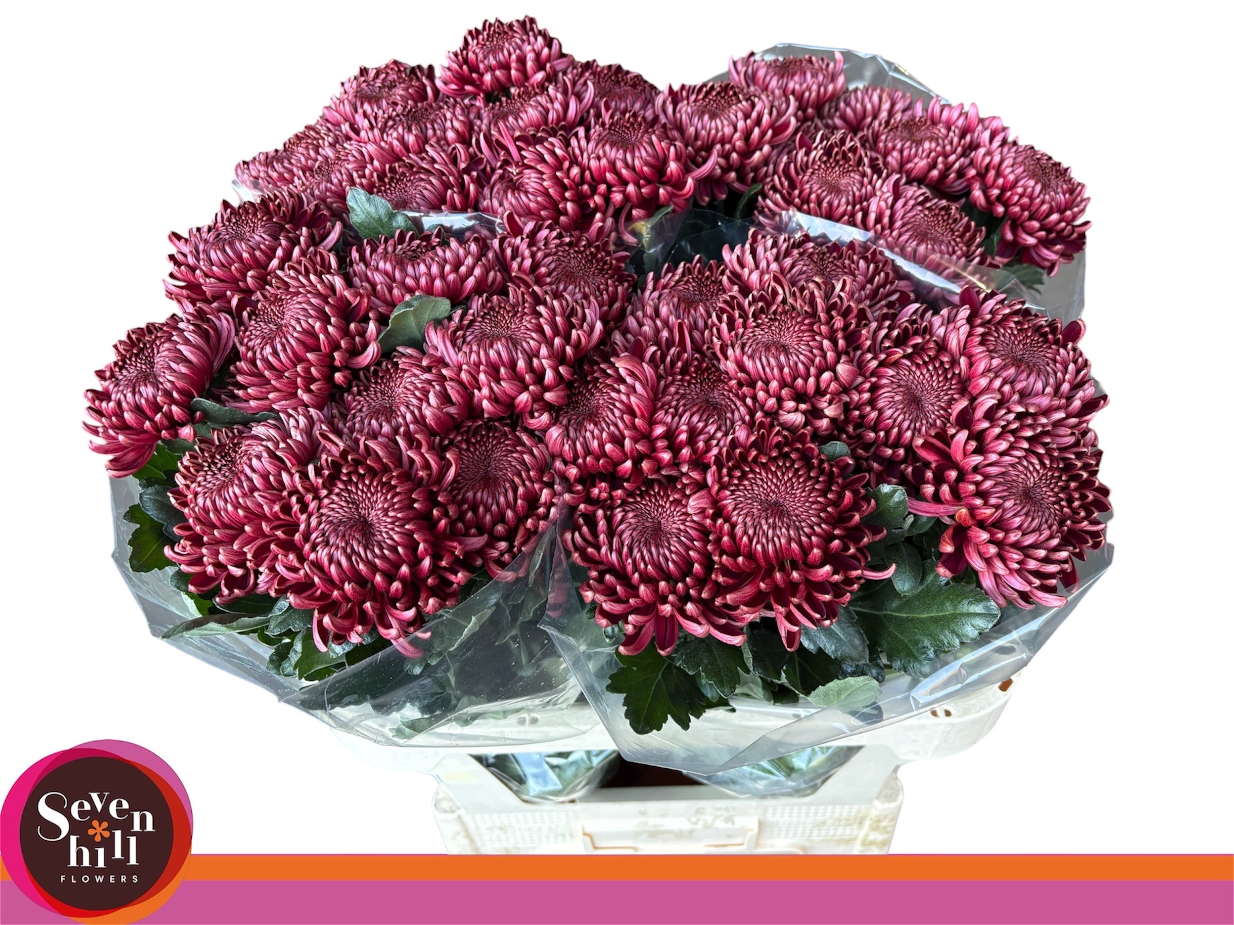 Chrys Single Bigoudi Red 80cm 80gram