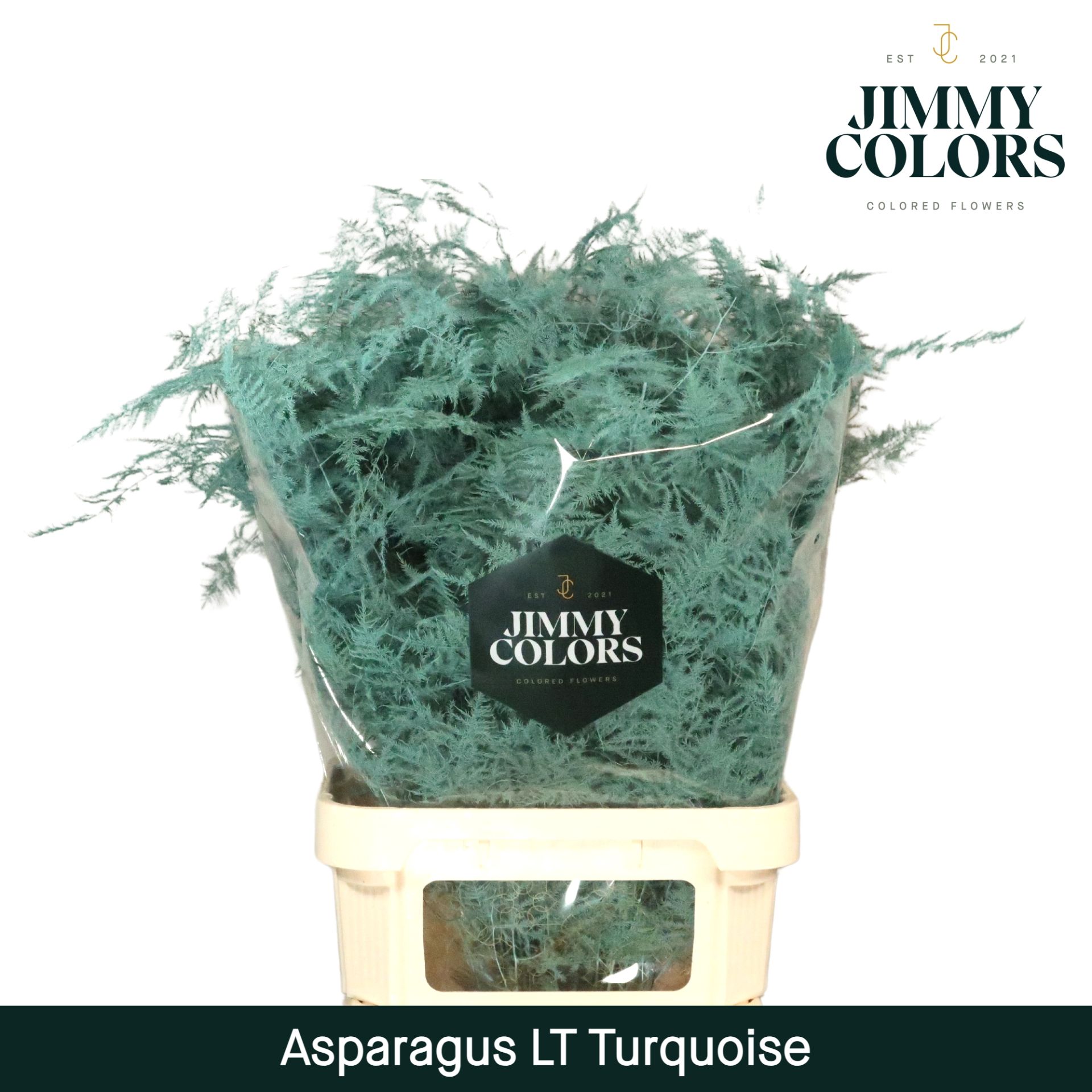 Aspa Lang Getopt Turquoise