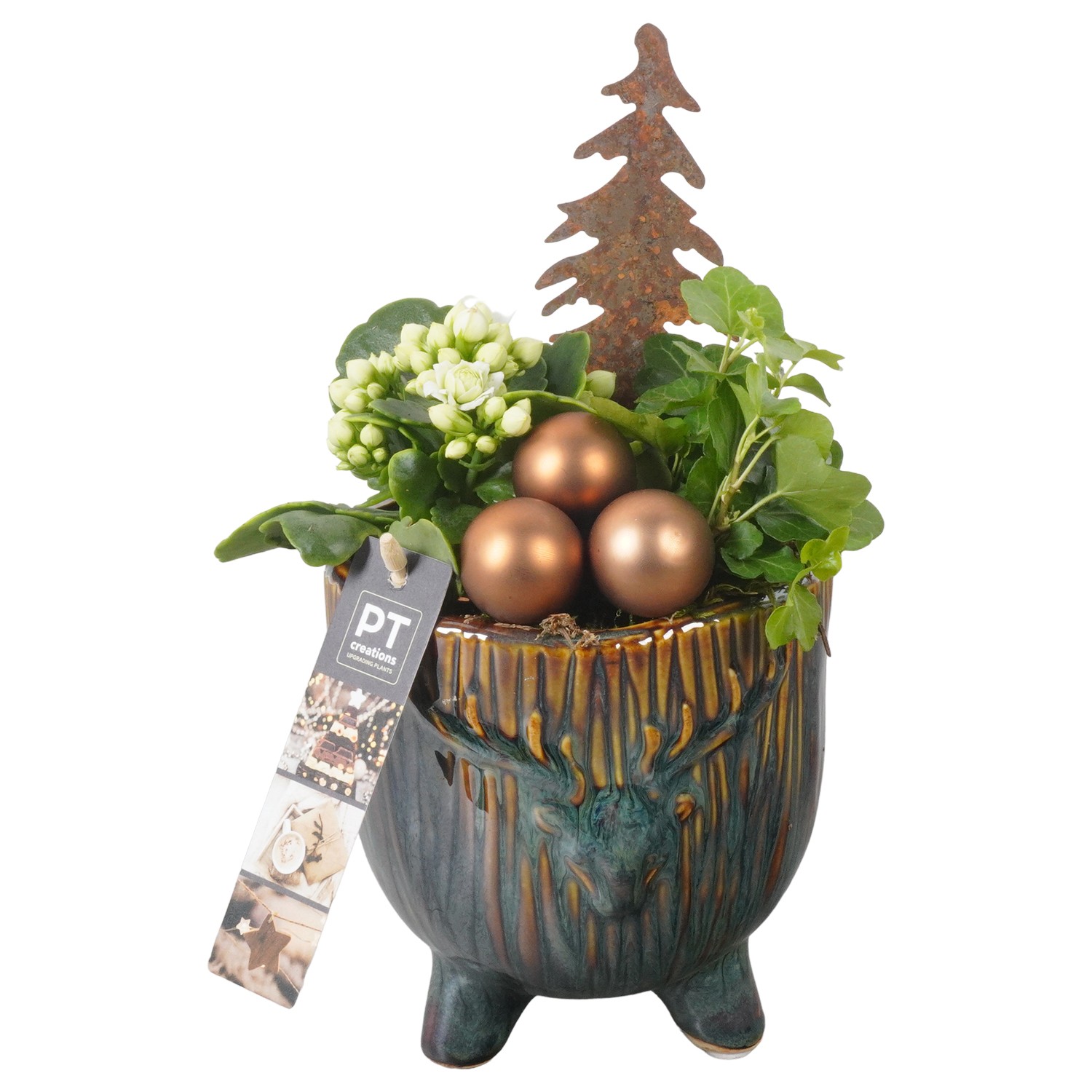 Picture of PTKB9361 Arrangement X-Mas in ceramic pot P13 25CM