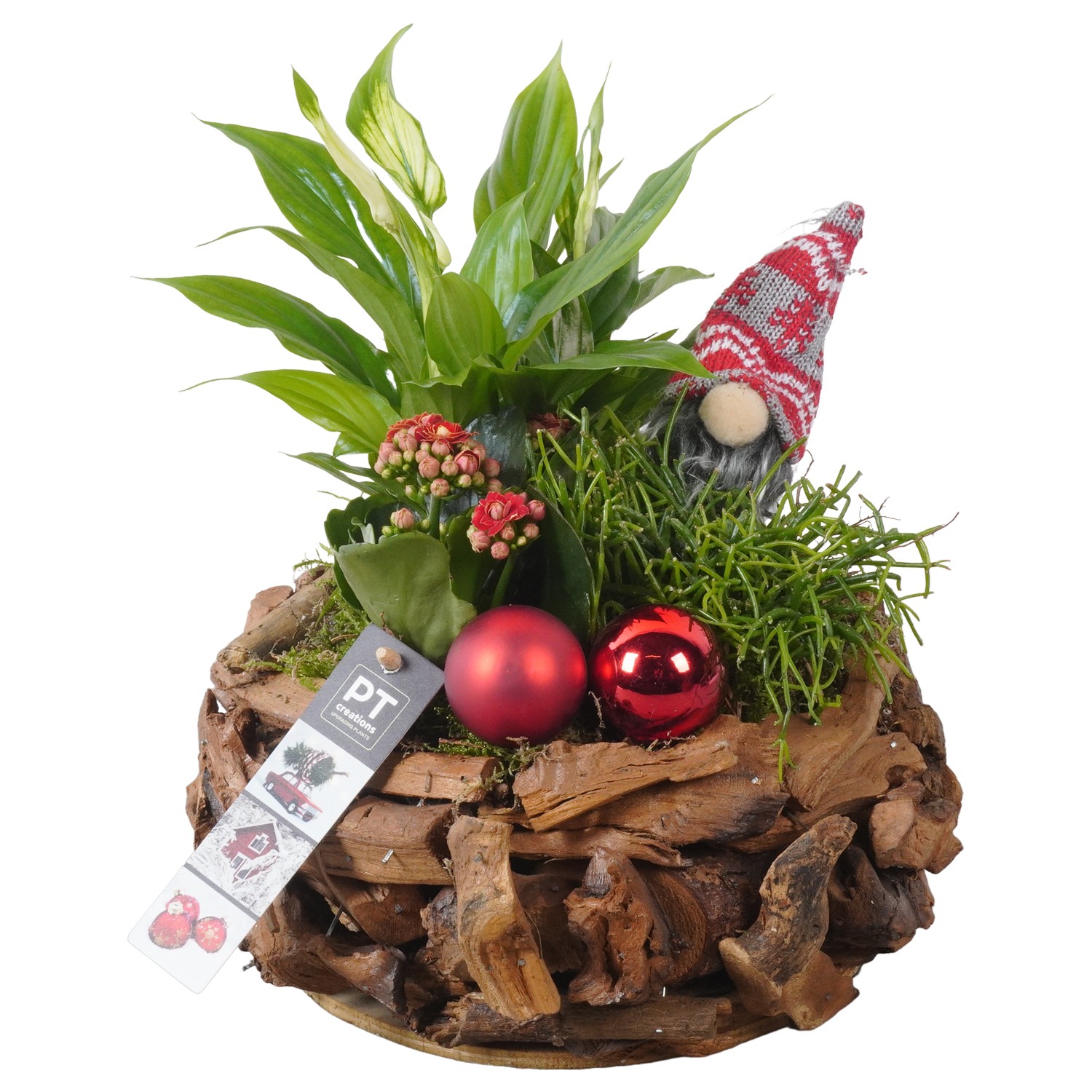 Picture of PTKB9308 Arrangement X-Mas in wooden bowl P24 29CM