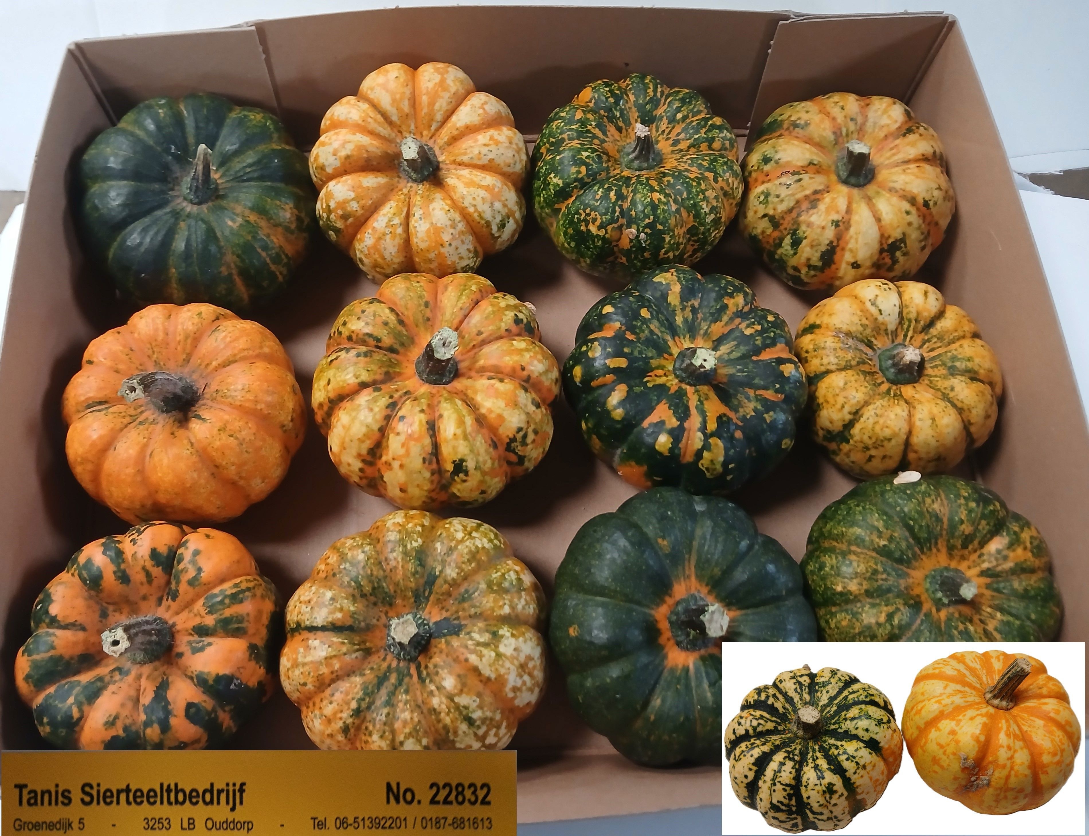 Ornamental Fruits Per Piece