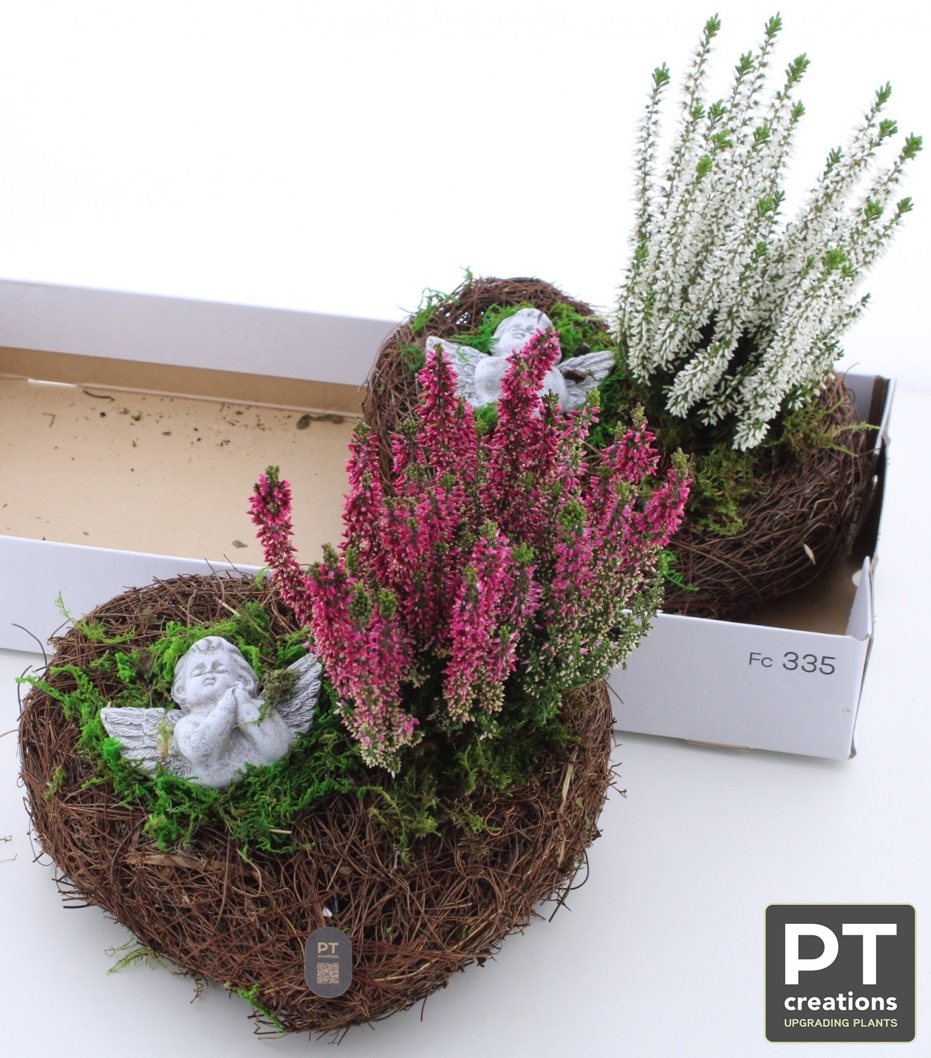 Arr Tuinplanten 25P 31cm 22bloei