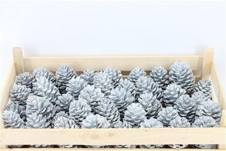 Stick Pine Cone Wax
