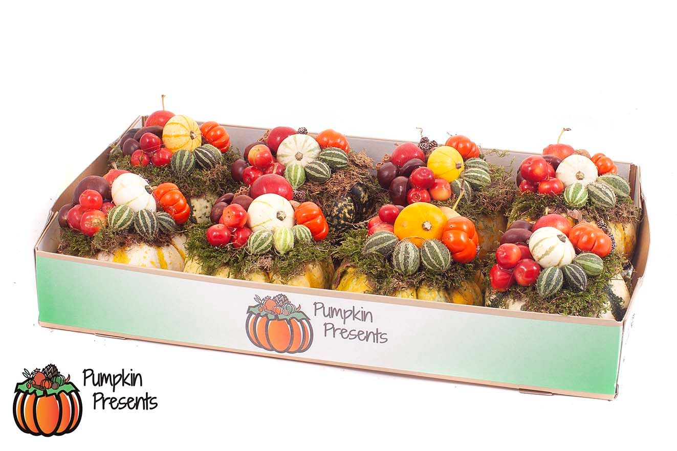 Picture of Cucurbita (pompoen) arrangement (Small) mix