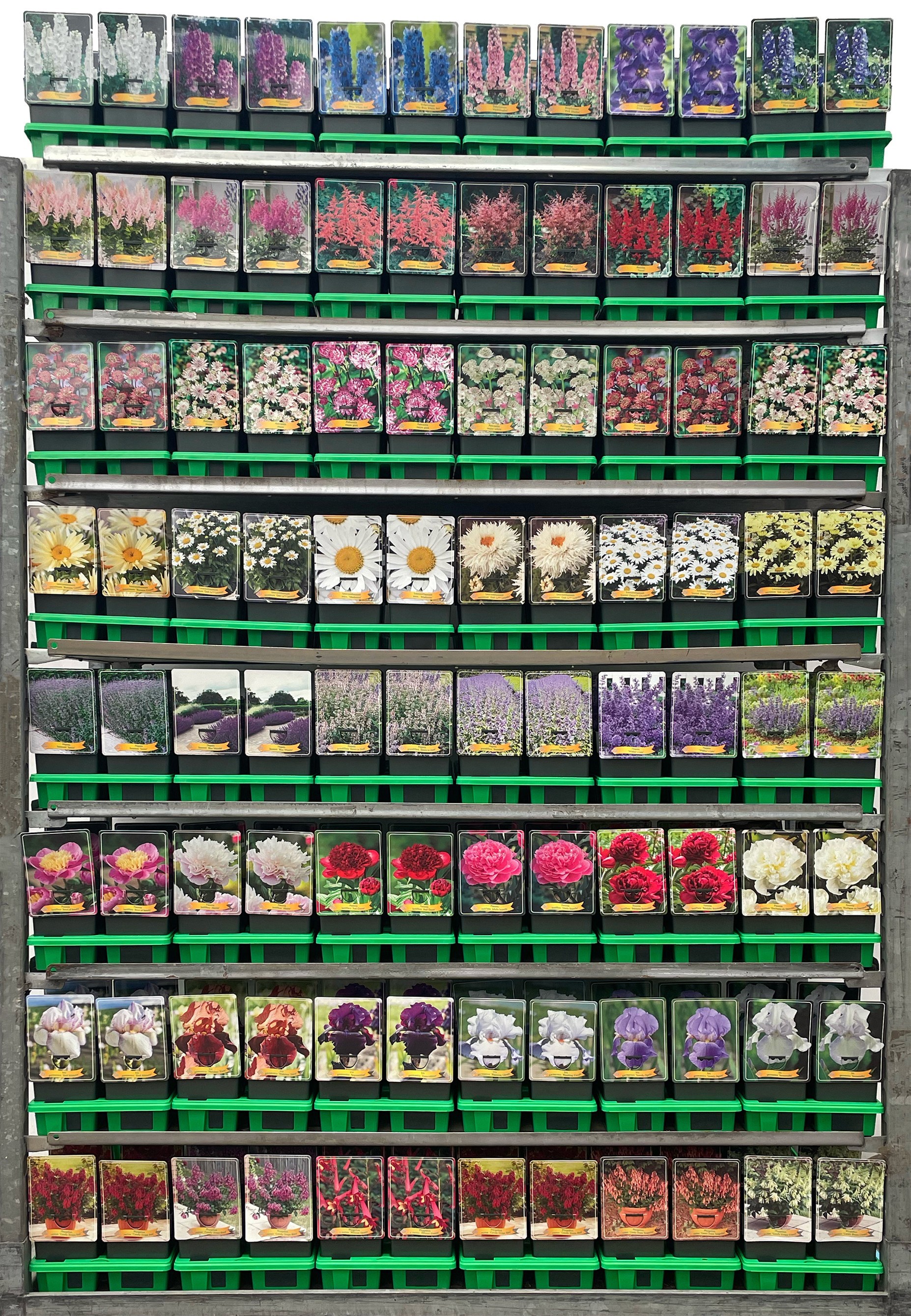 Picture of Vaste planten Mix CC 3 P11