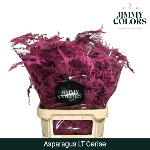 Aspa Lang Getopt Cerise