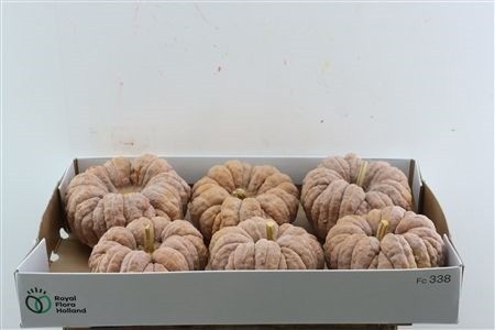 Ornamental Fruits Per Piece